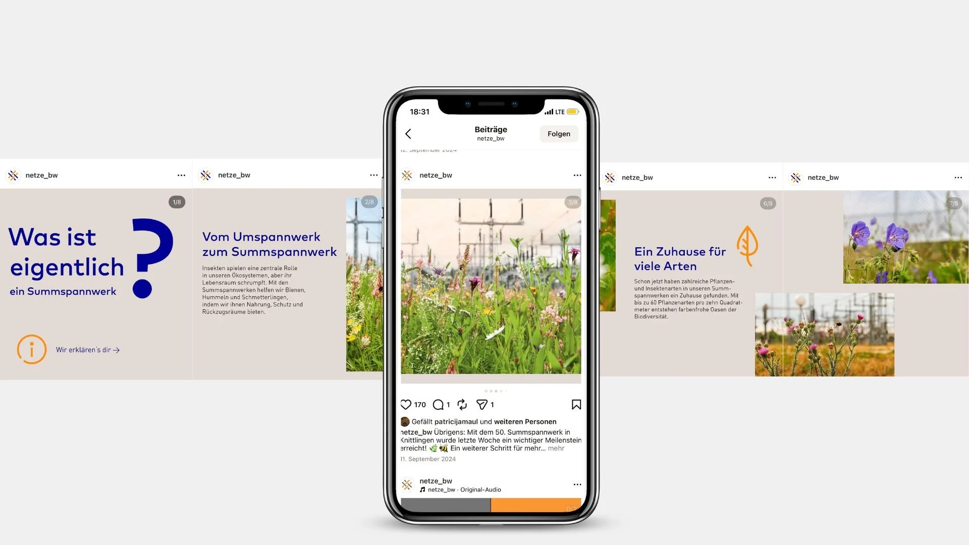 Smartphone auf weißem Hintergrund zeigt einen Instagram-Post über das Summspannwerk mit Fotos von Pflanzen und Textinformationen, im Hintergrund mehrere Screenshots von ähnlichen Postings.