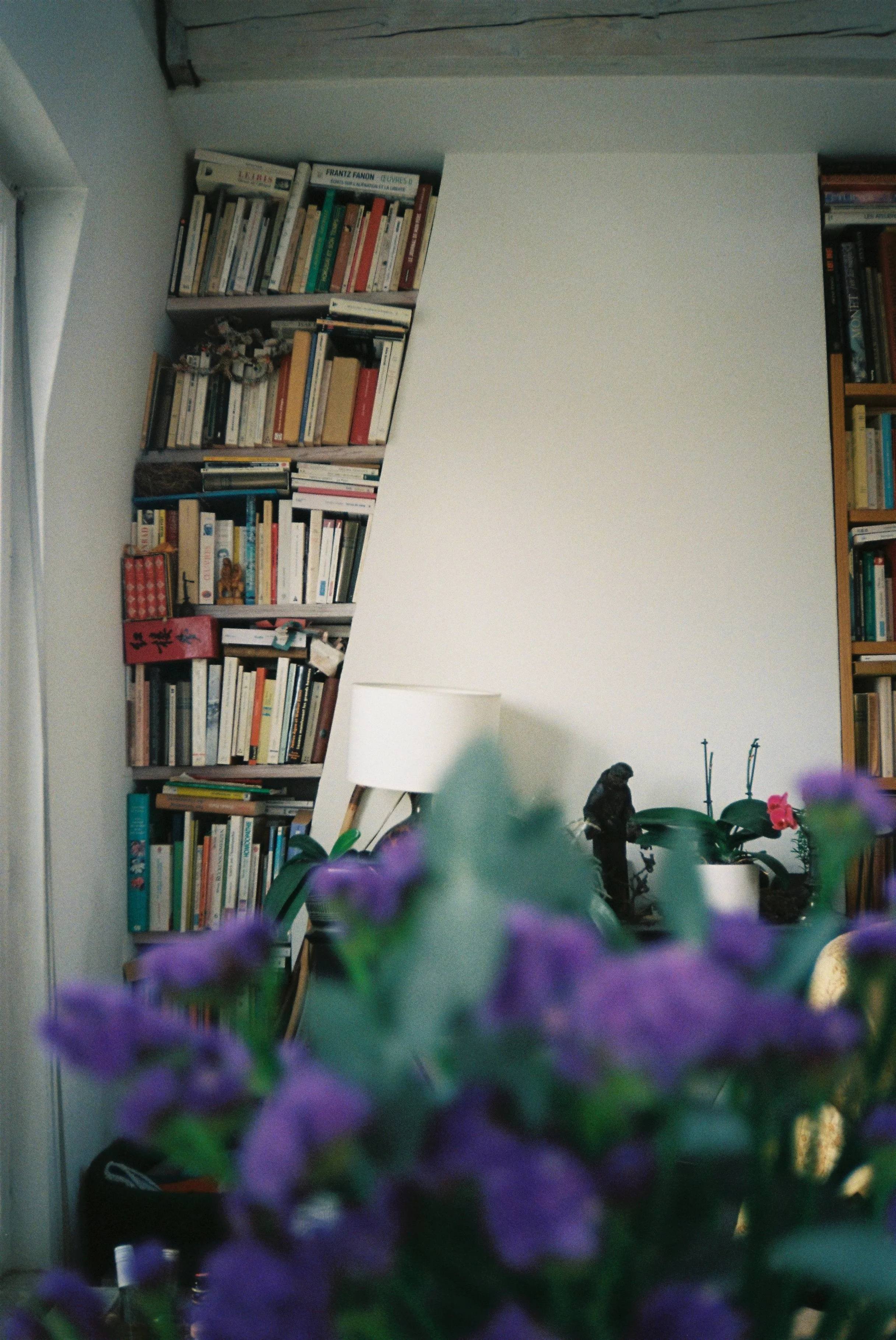 Ein Blick auf einen Bücherregal mit zahlreichen Büchern, im Vordergrund einige violette Blumen, im Hintergrund eine weiße Wand und einen Lampenschirm.
