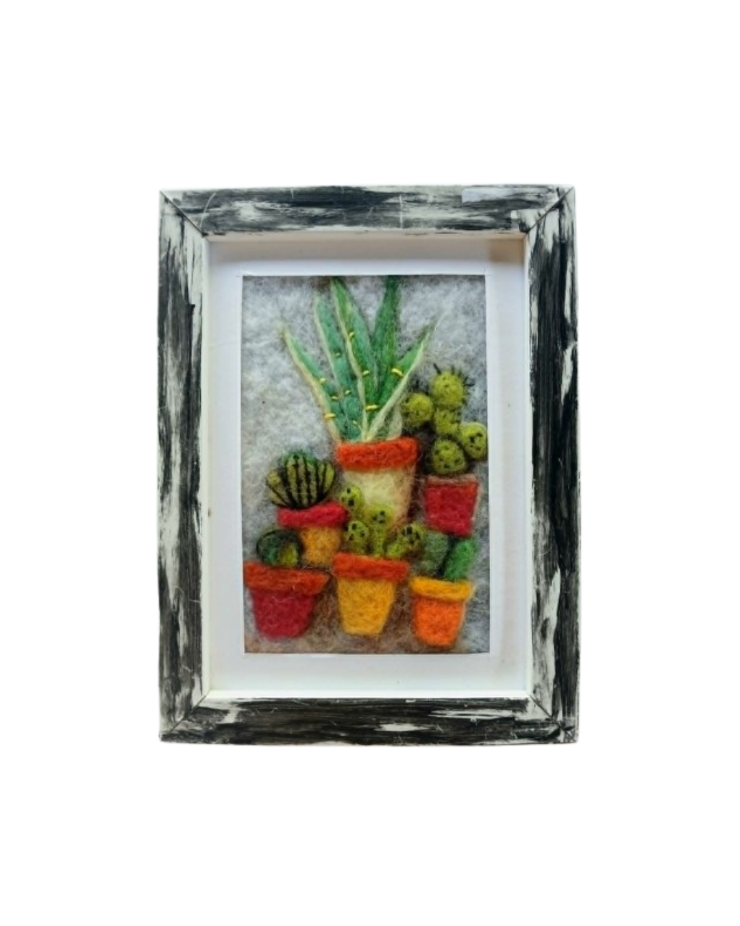 Cacti and Succulents