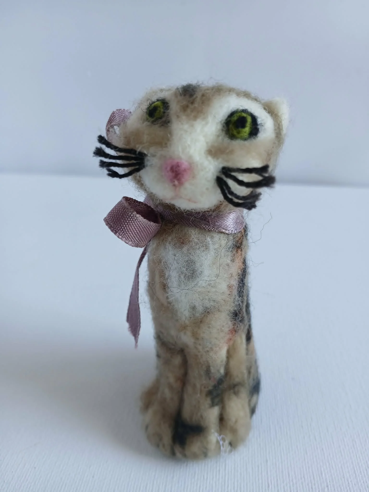 Tabby Cat