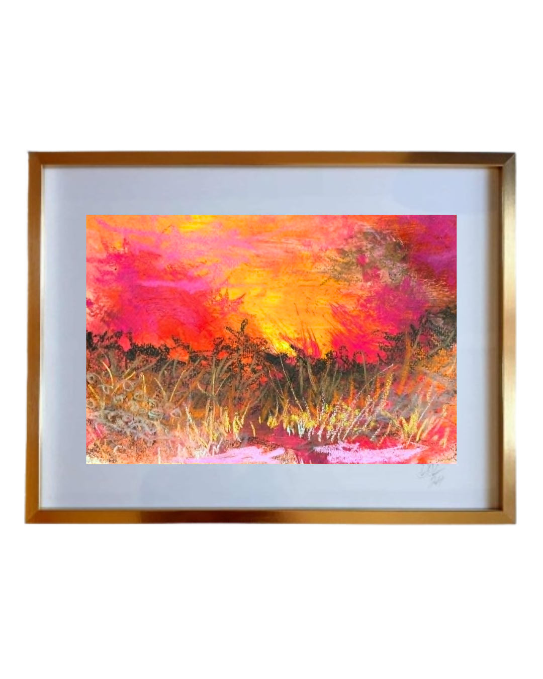 Sunset Grasses