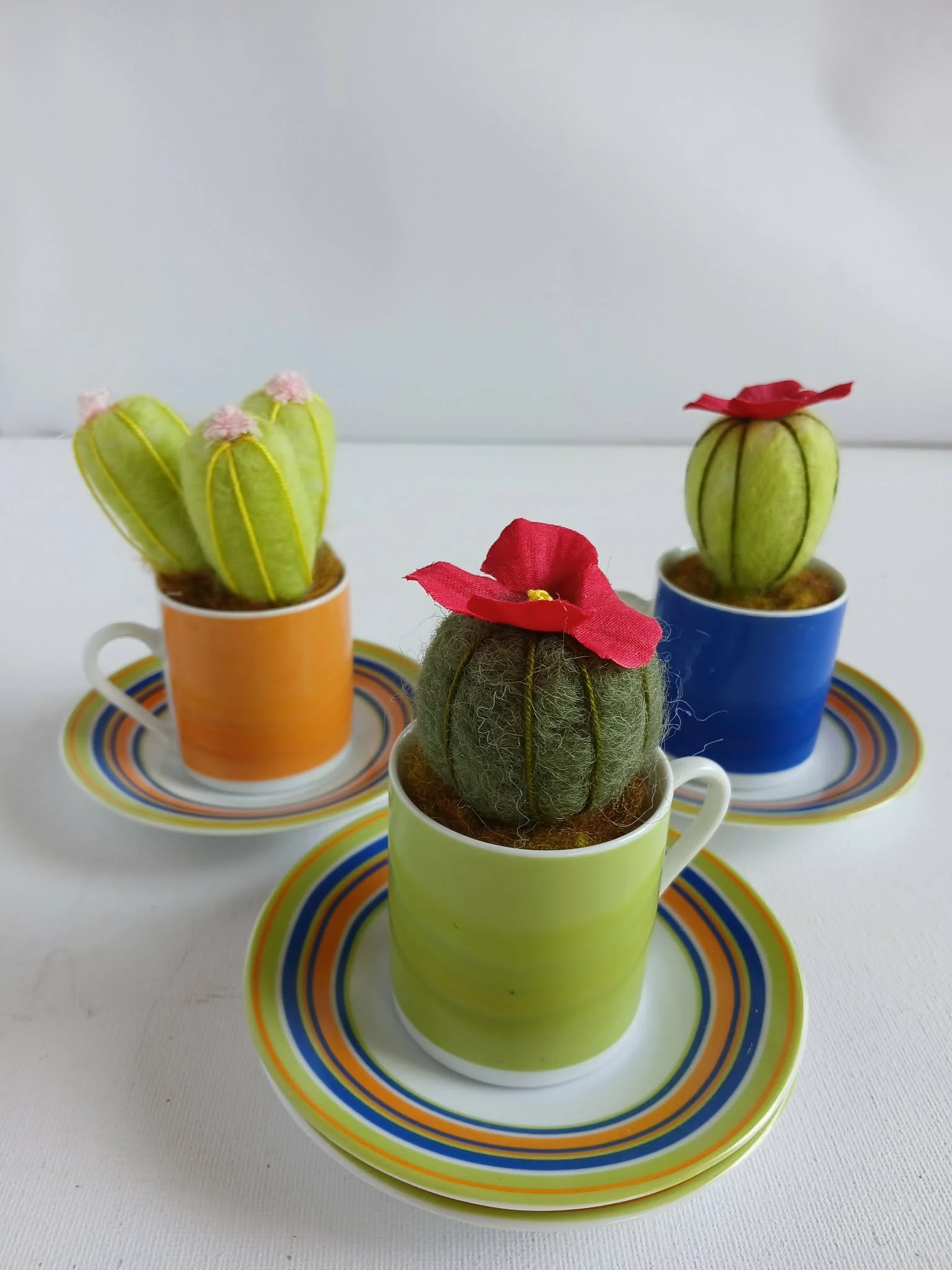 Colourful Espresso Cup Cacti