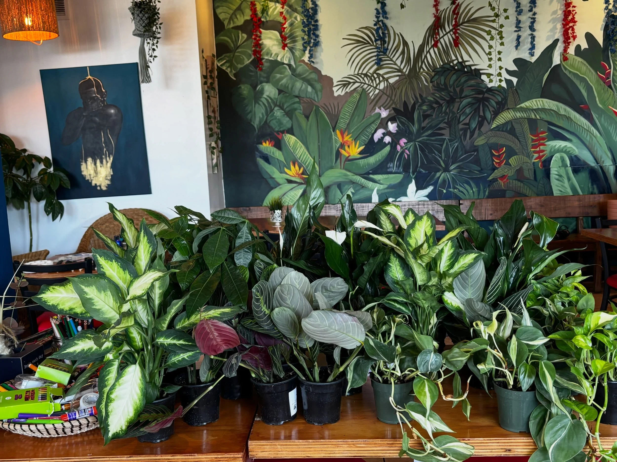 Paint &amp; Plant was definitely a vibe.
Thank you to everyone who came out, created something beautiful, planted a little joy, and spent the evening with us @healmpls. Watching new connections form, conversations flow, and everyone leave with a smil