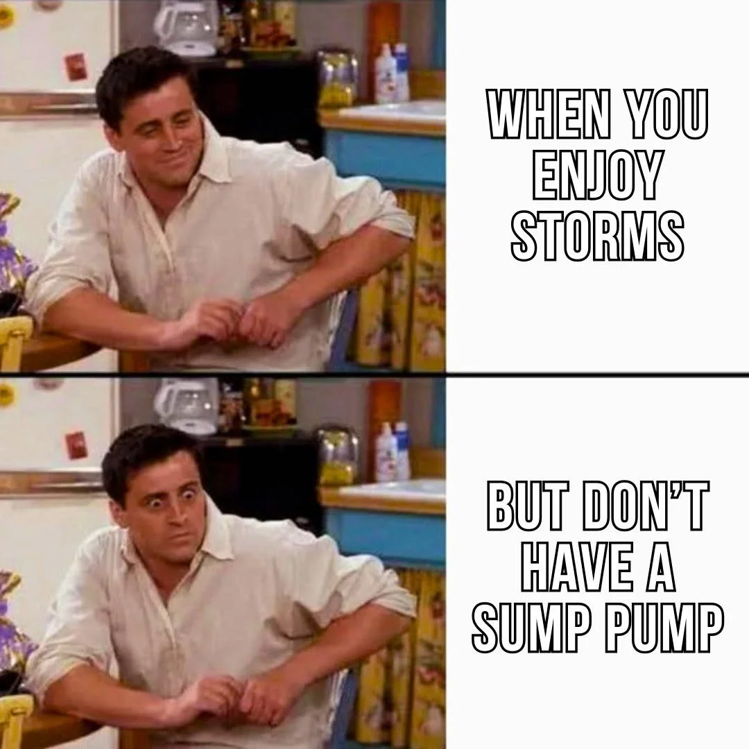 Joey.jpg
