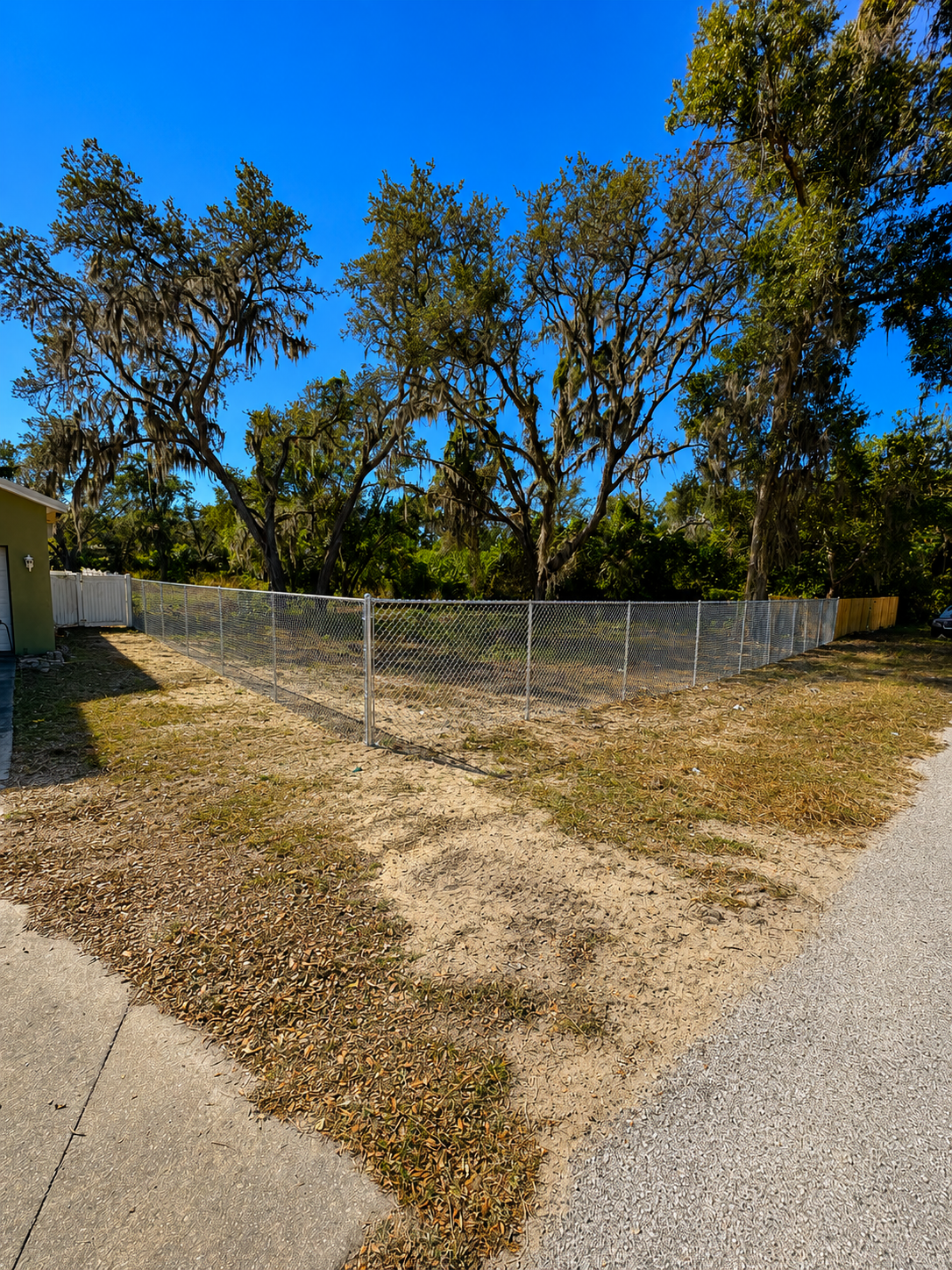 A fenced backyard with large trees and a dry, patchy lawn under a bright blue sky.