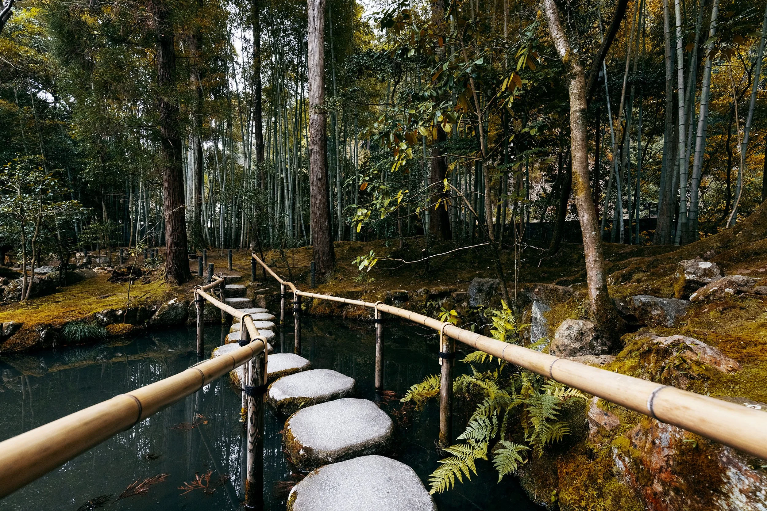 A serene Japanese garden with a stone pathway crossing a pond, surrounded by lush green trees and bamboo, with moss-covered ground and rocks.