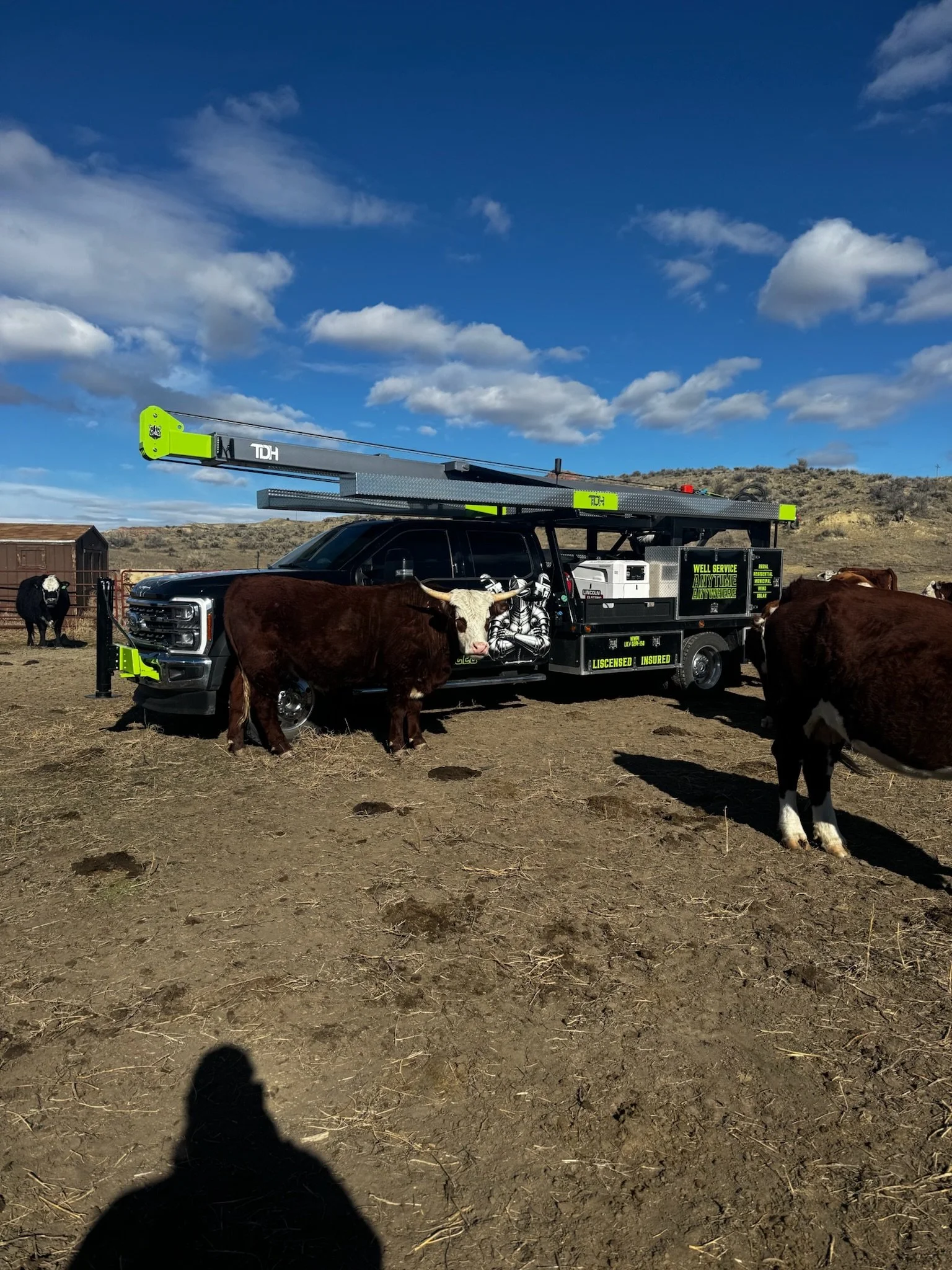 A black utility truck equipped with hydraulic equipment and tools, surrounded by cattle on a farm with a clear blue sky and some clouds.