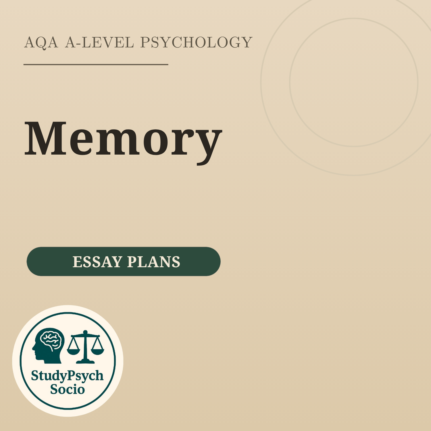 Memory Essay Plans