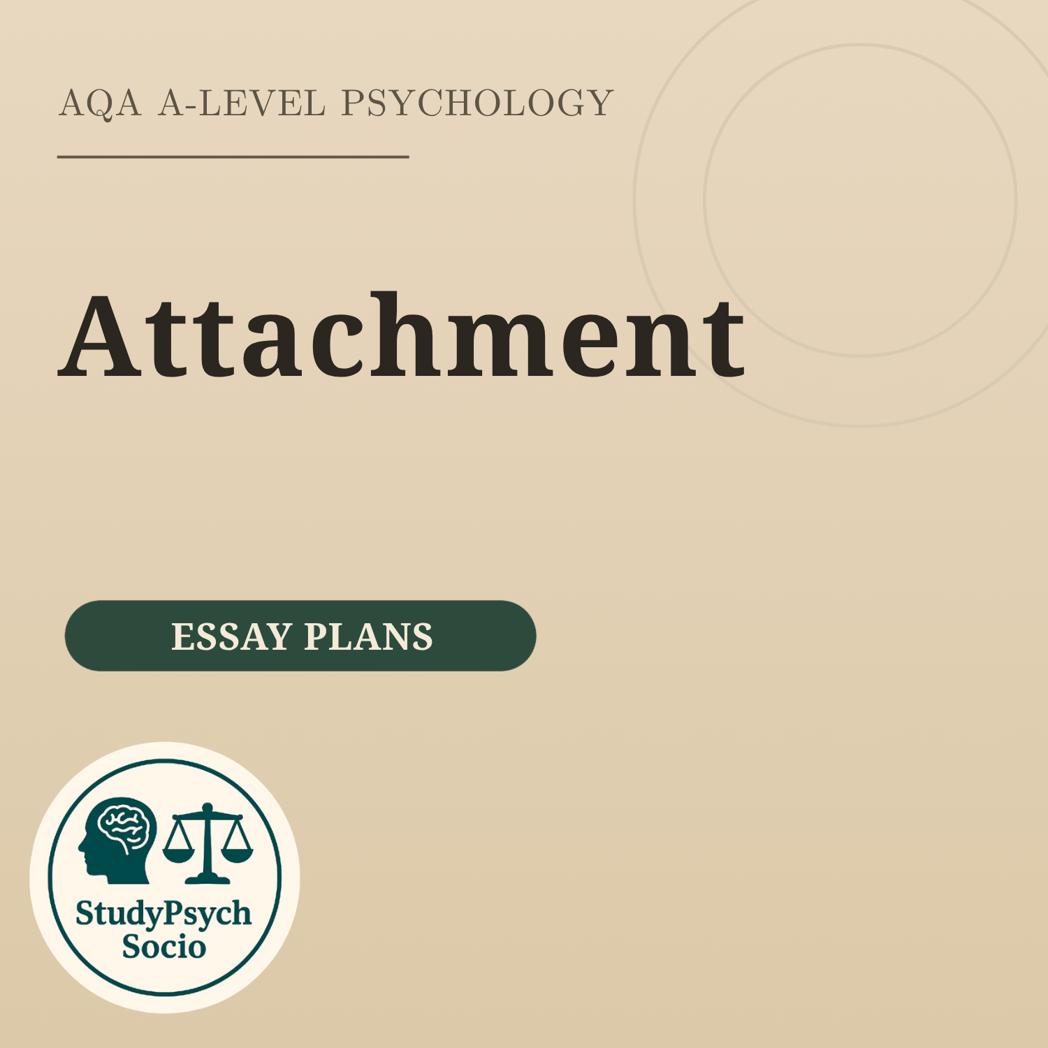 Attachment Essay Plans