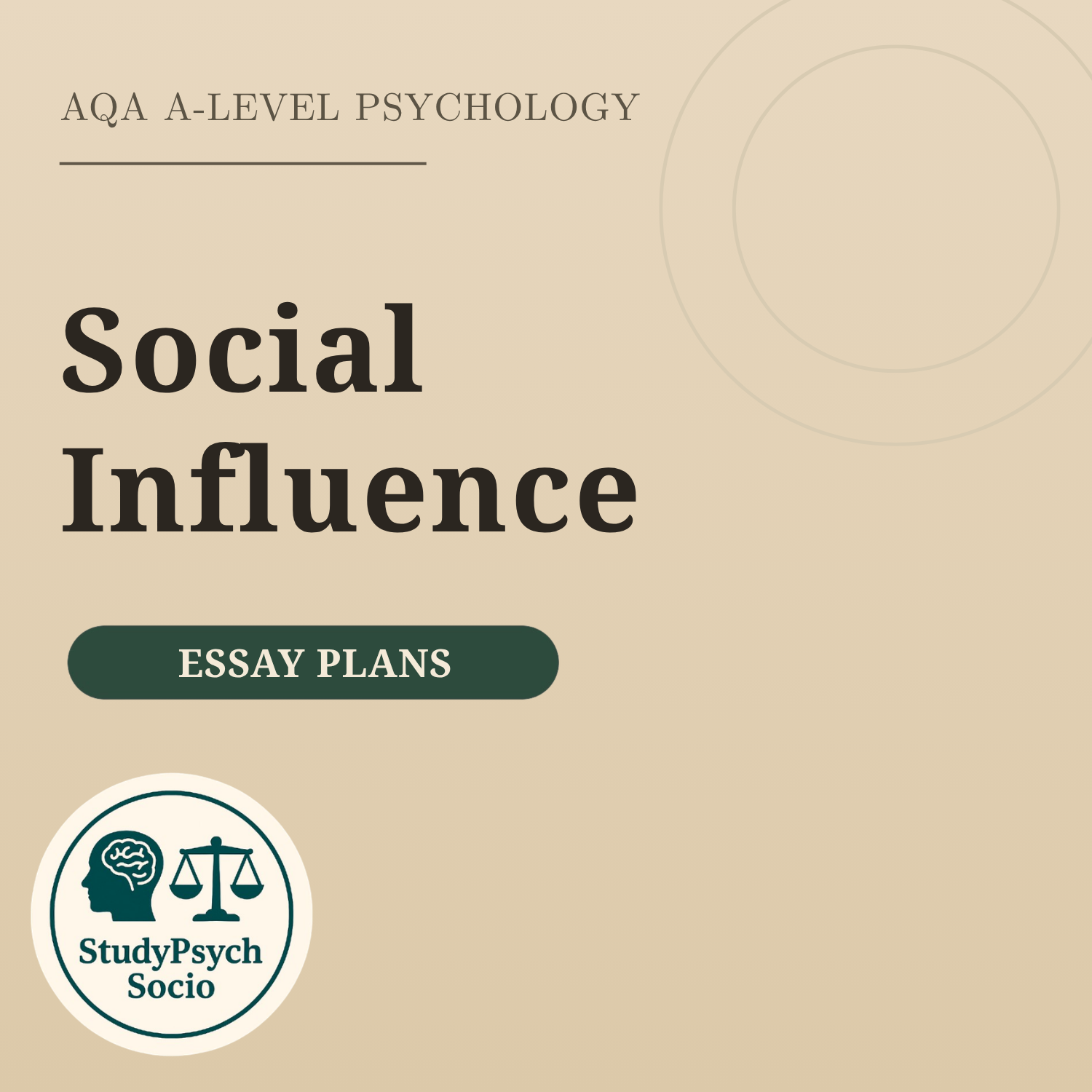 Social Influence Essay Plans