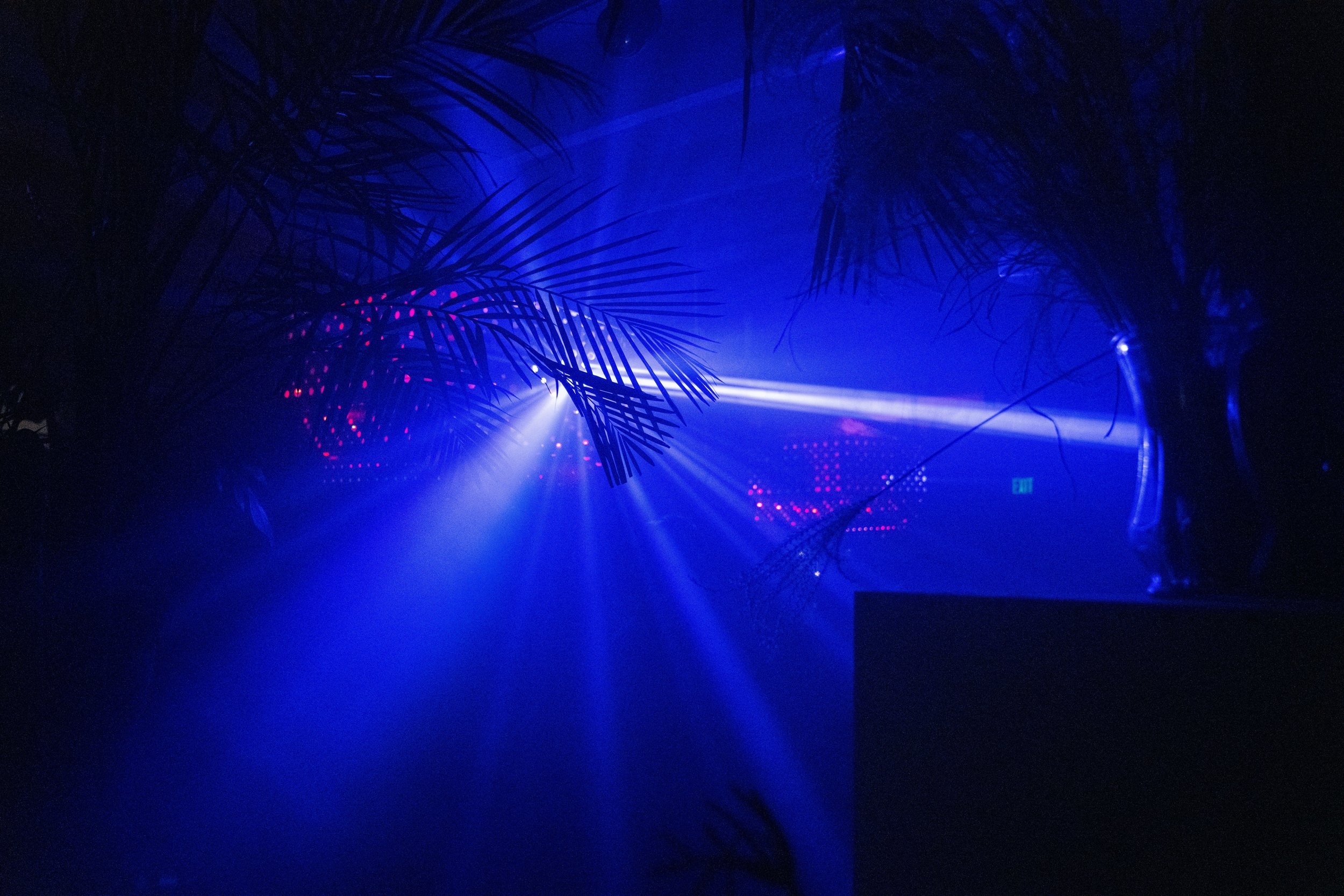 DSC00779 (1).jpg