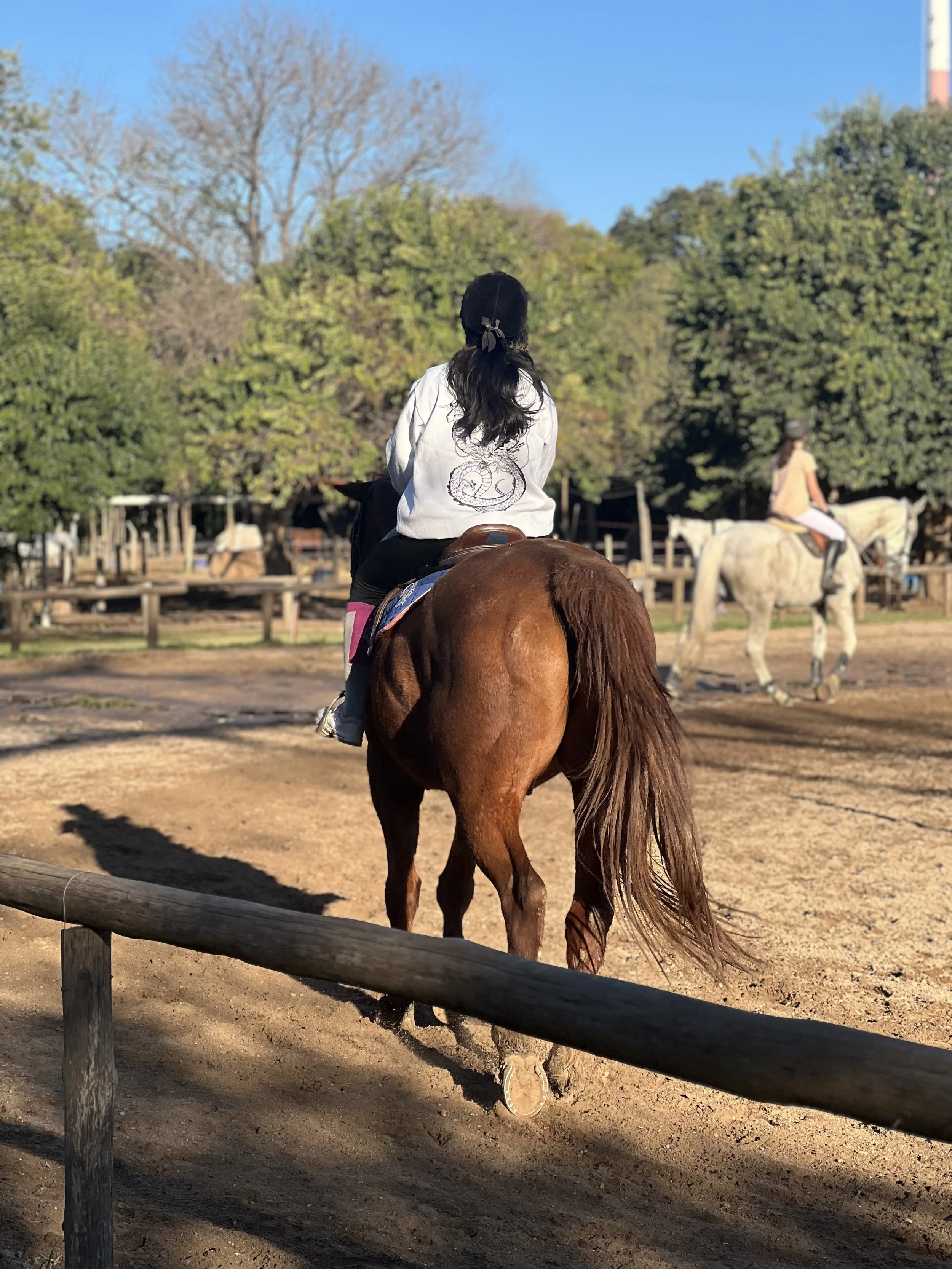 Clases de equitación nivel inicial
