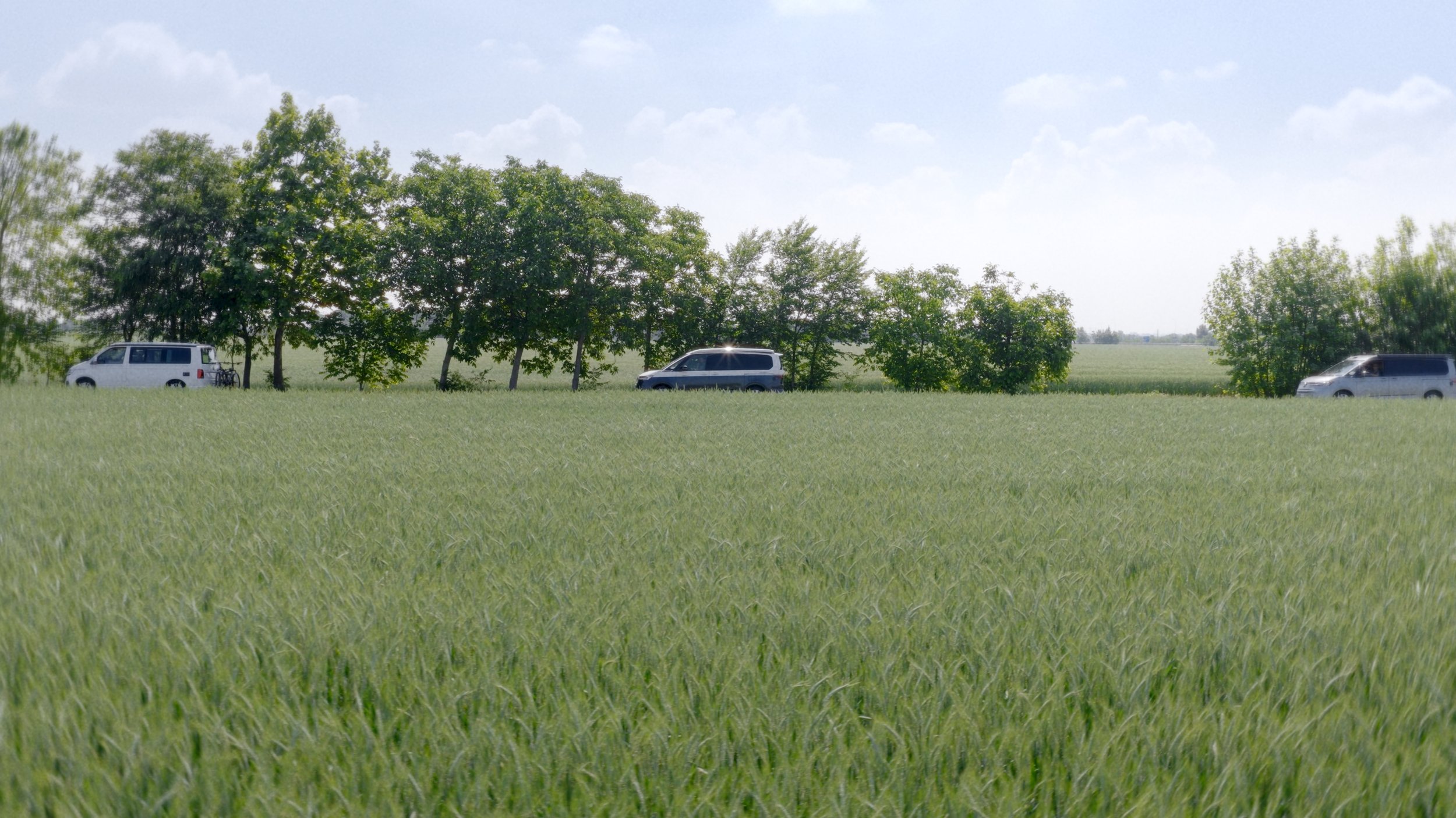 Three white vans parked in a line along a grassy field with trees in the background and a clear blue sky.