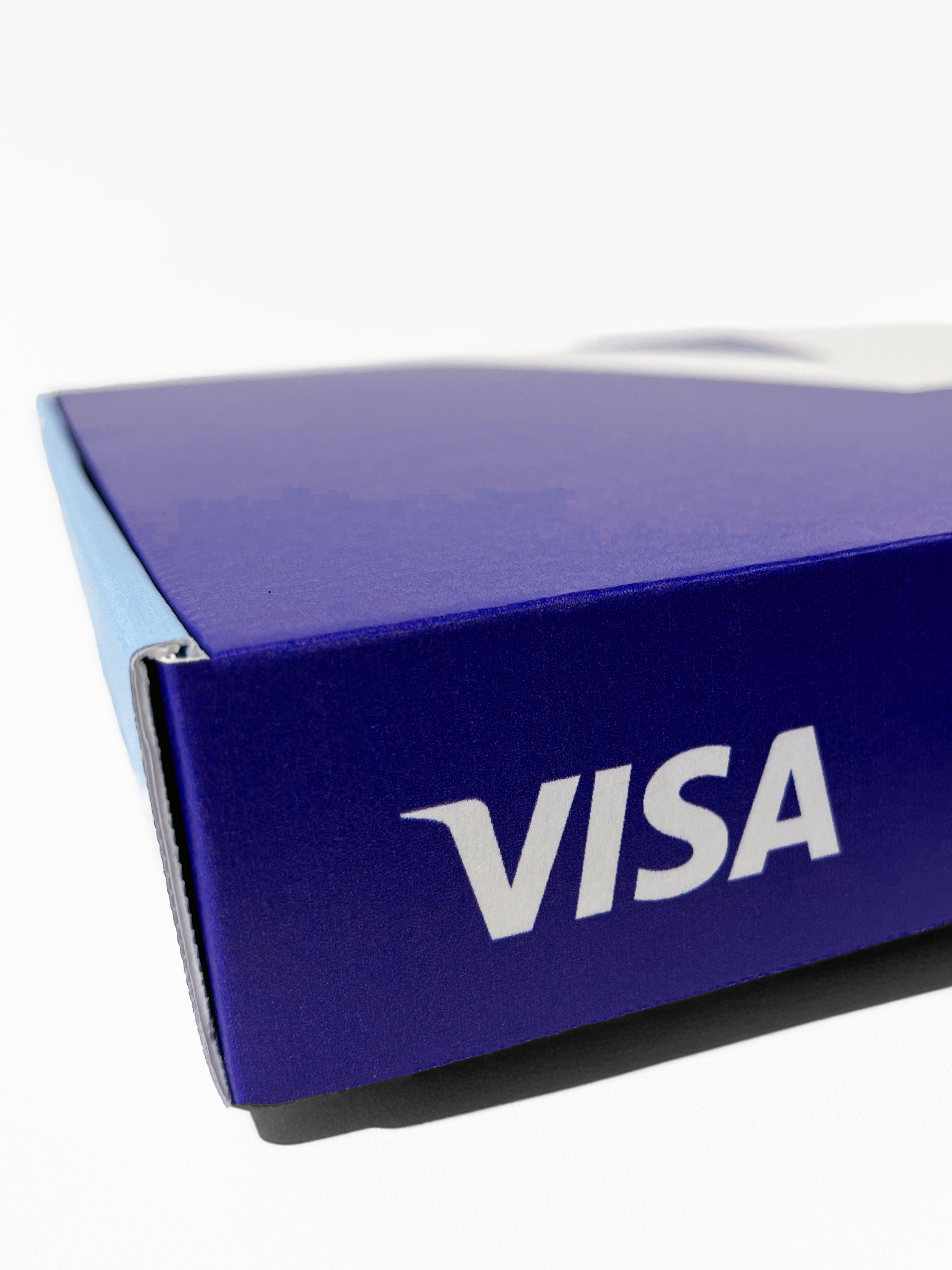 Visa 4.png
