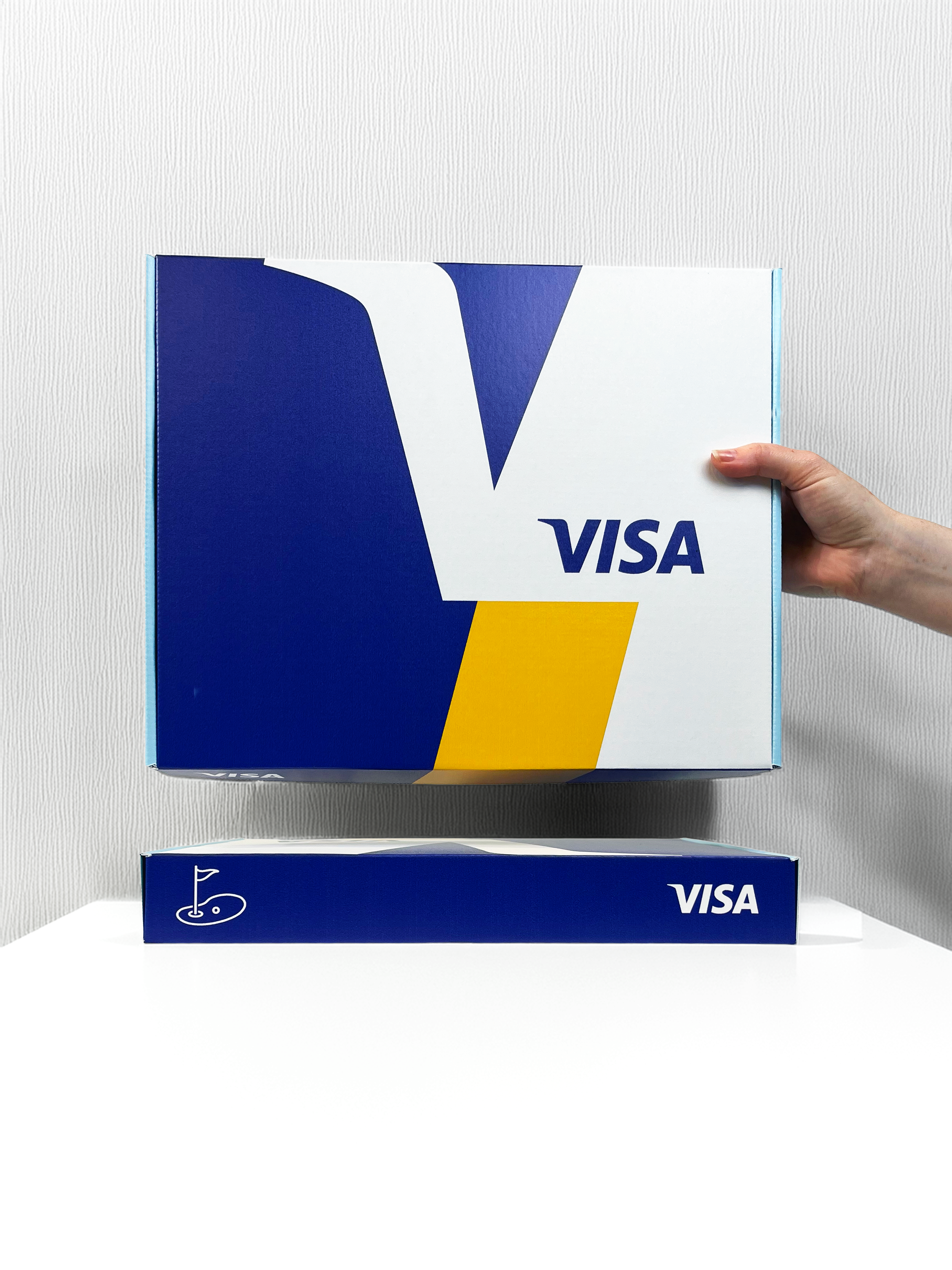 Visa 3.png