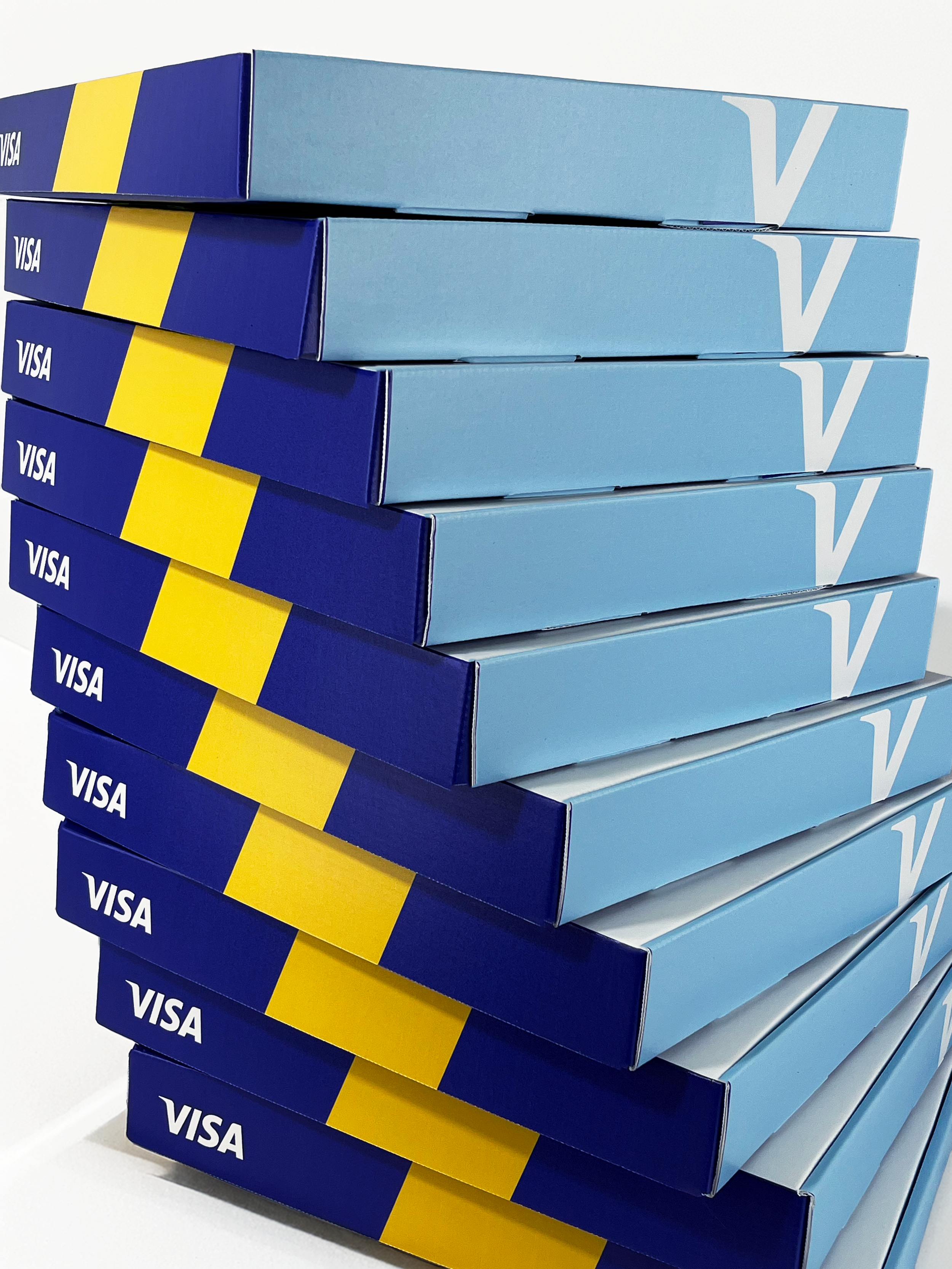 Visa 2.png