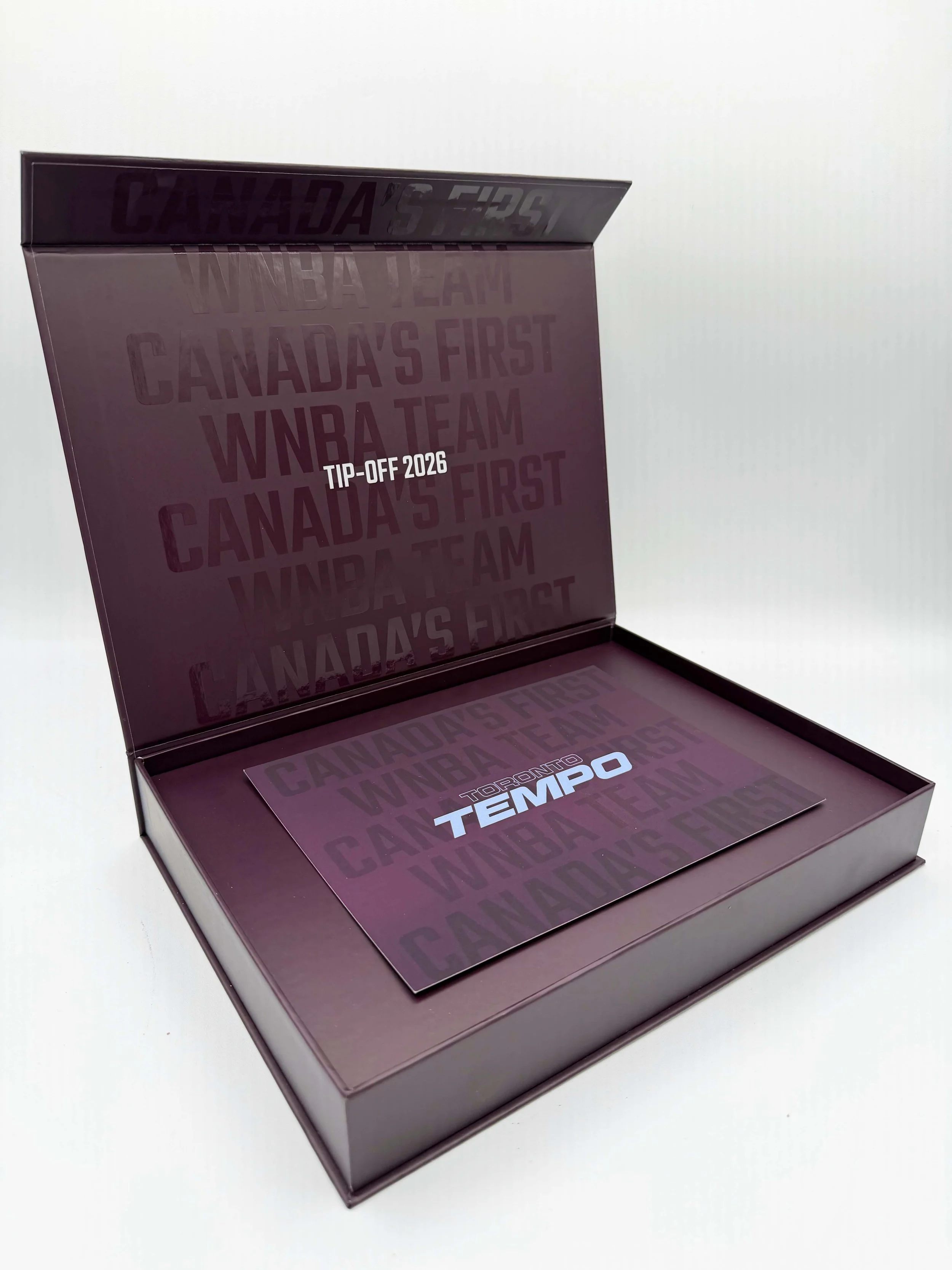 TEMPO_INSERT_CARD.JPG