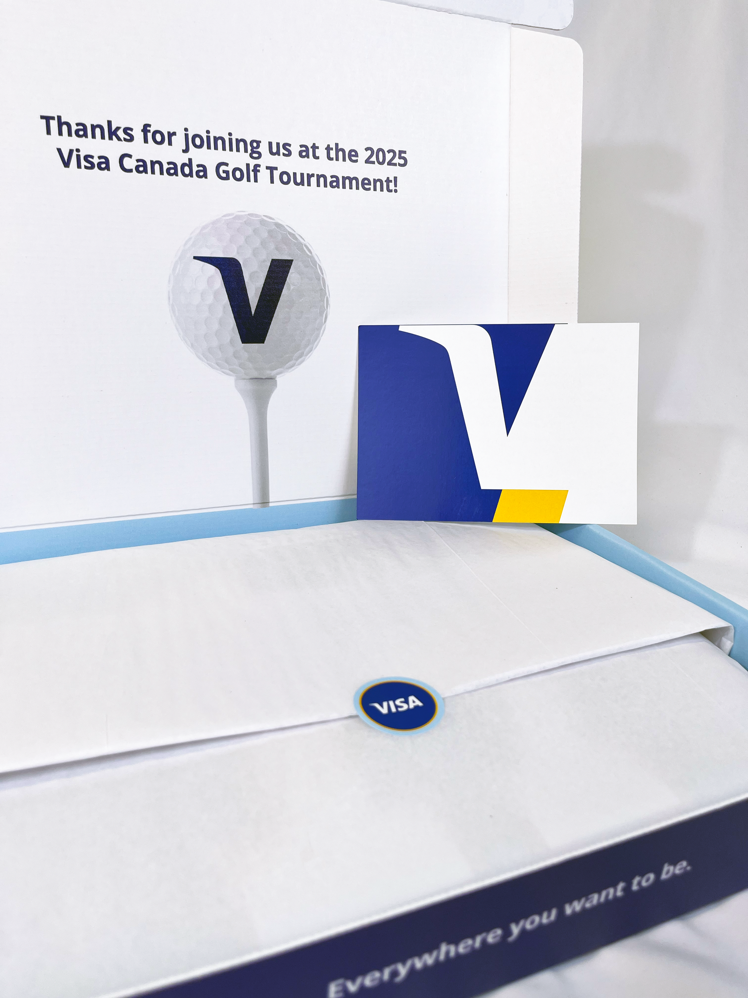 Visa 7_open.png