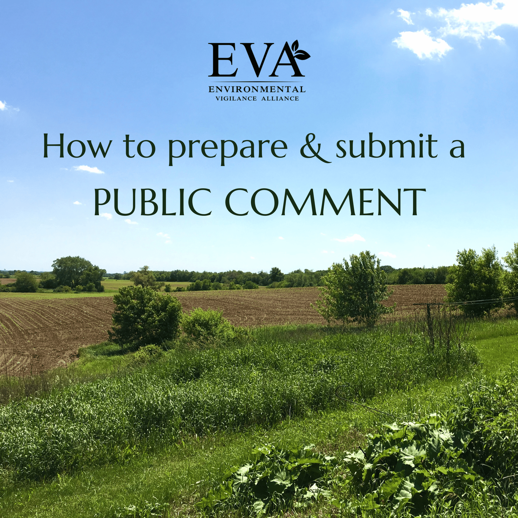 A scenic landscape with green fields, trees, and a bright blue sky with scattered clouds. The image is used as a background for a presentation titled 'How to prepare & submit a PUBLIC COMMENT' by the Environmental Vigilance Alliance.