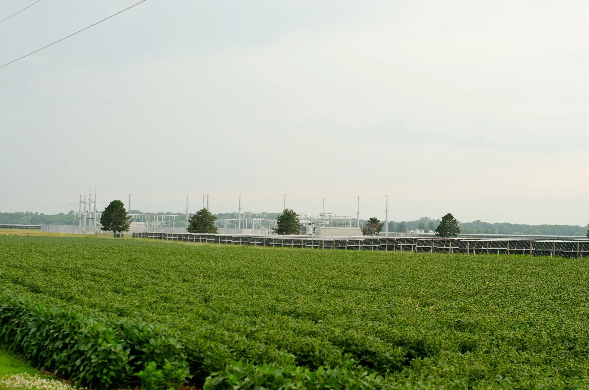 Soybean field and solar panels surrounding existing electrical infrastructure near the proposed Foundry Ridge site in Darien, Wisconsin.