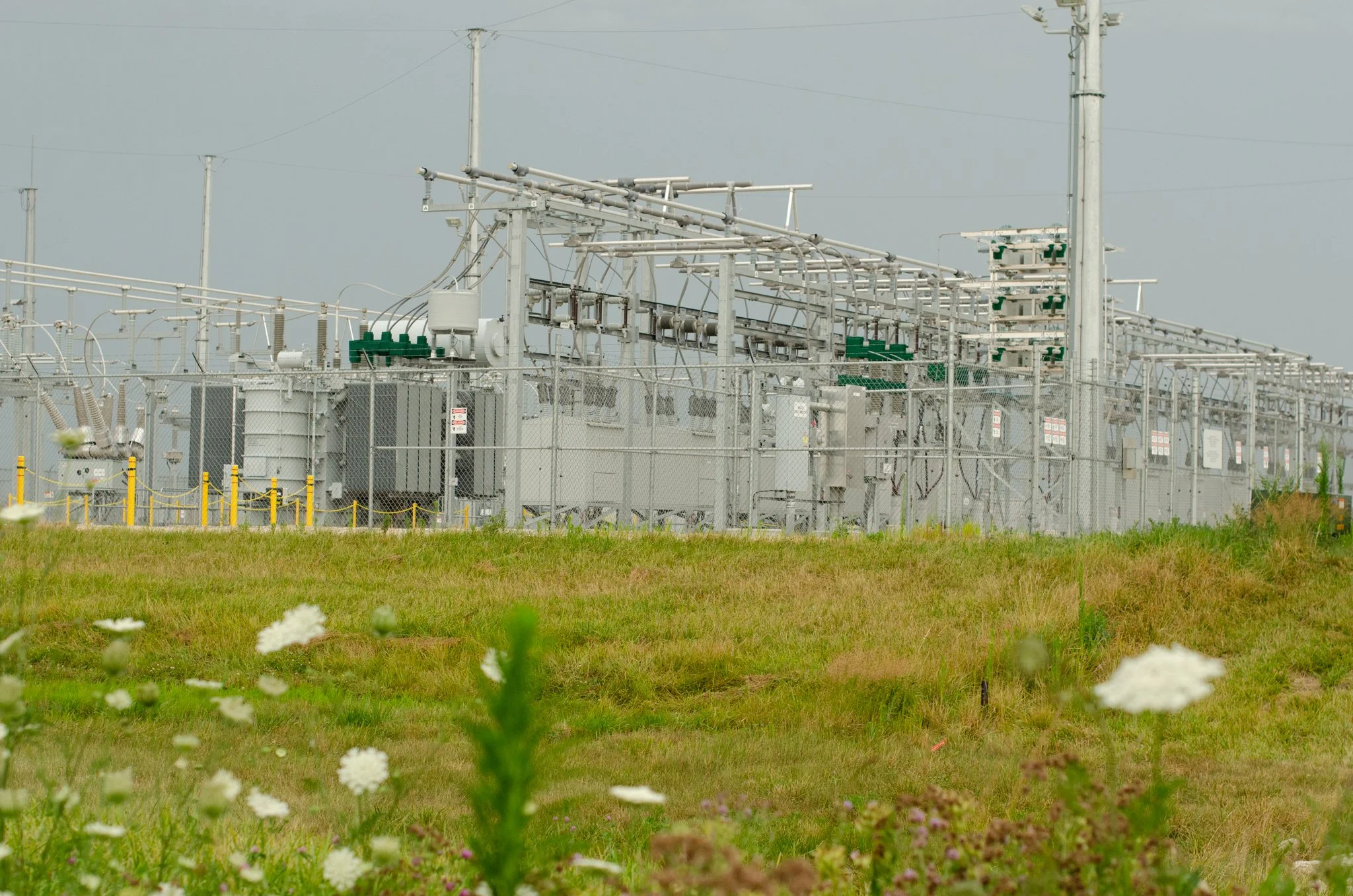 Electrical substation equipment and fencing beside the Darien Solar Energy facility, bordered by grasses and wildflowers.