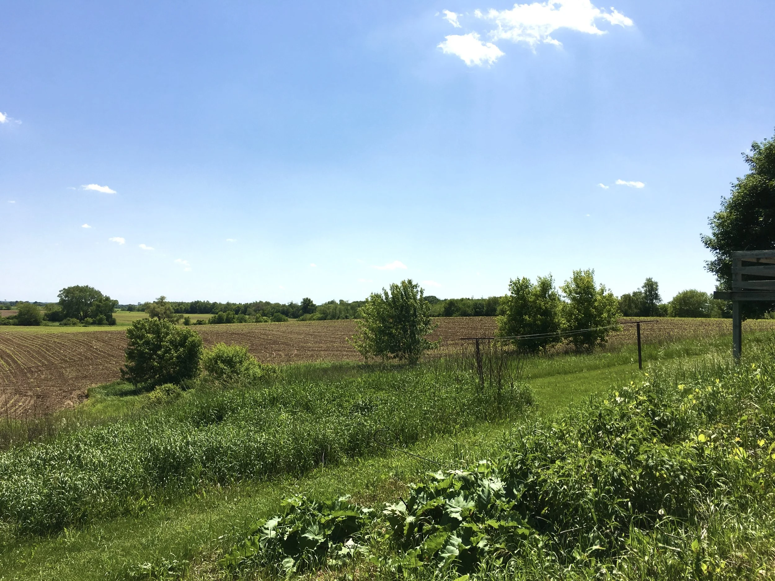 A rural landscape features green grass and trees in the foreground, with farmland and more trees stretching into the distance under a bright blue sky with a few clouds.