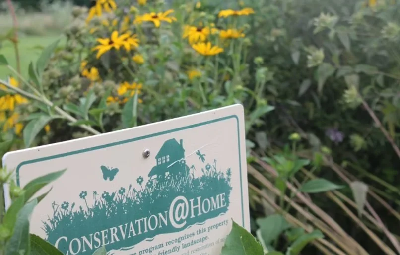 A white signboard reading 'CONSERVATION@HOME' amid yellow flowers and green foliage.