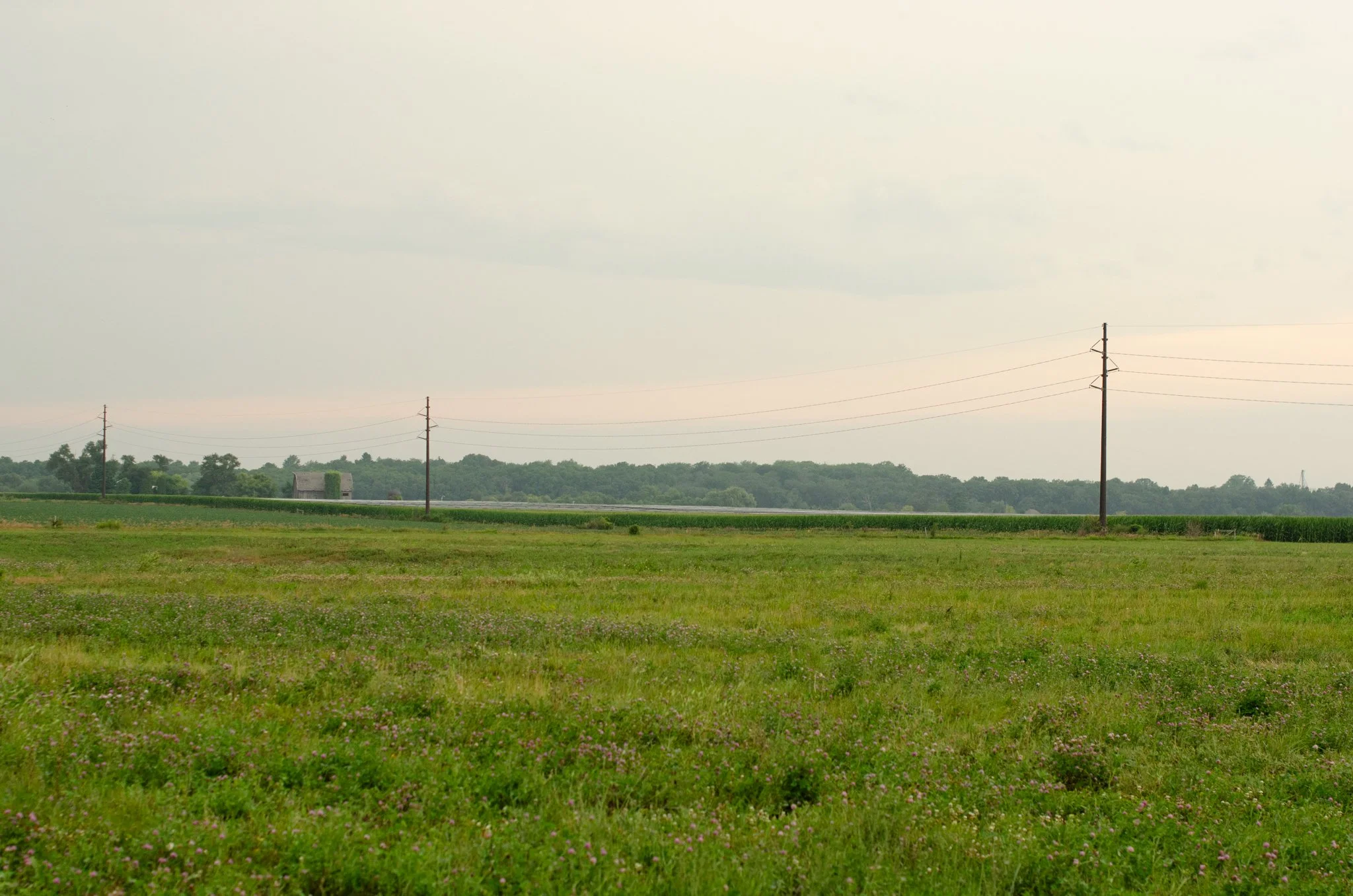 Grassy farmland at the proposed Foundry Ridge site, with utility poles, cropland, and the Darien Solar facility visible in the distance.