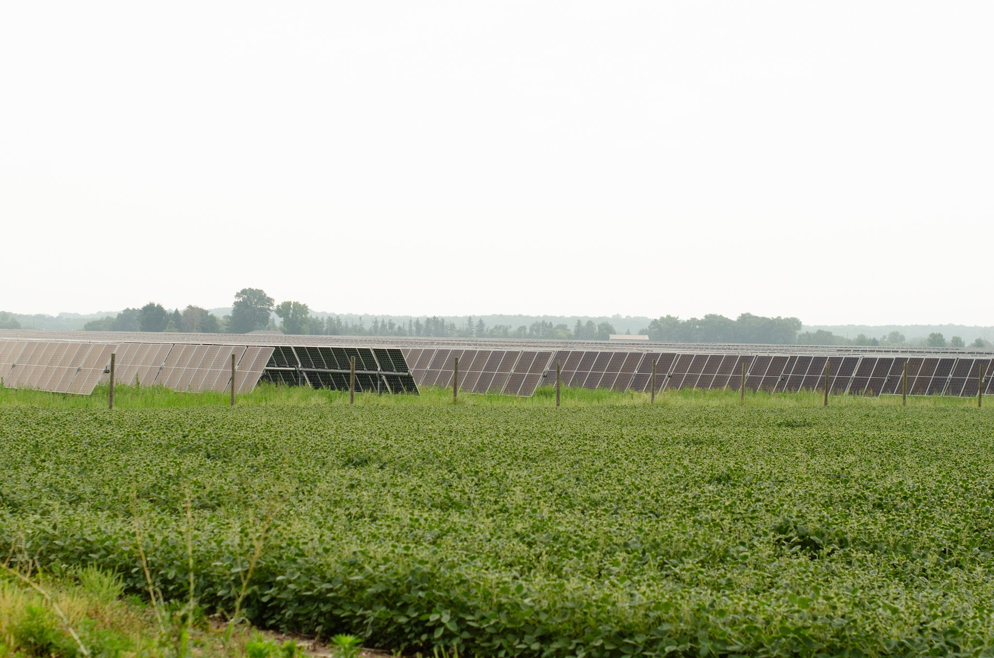 Rows of solar panels extending across farmland near the proposed Foundry Ridge Energy Center site in Darien, Wisconsin.