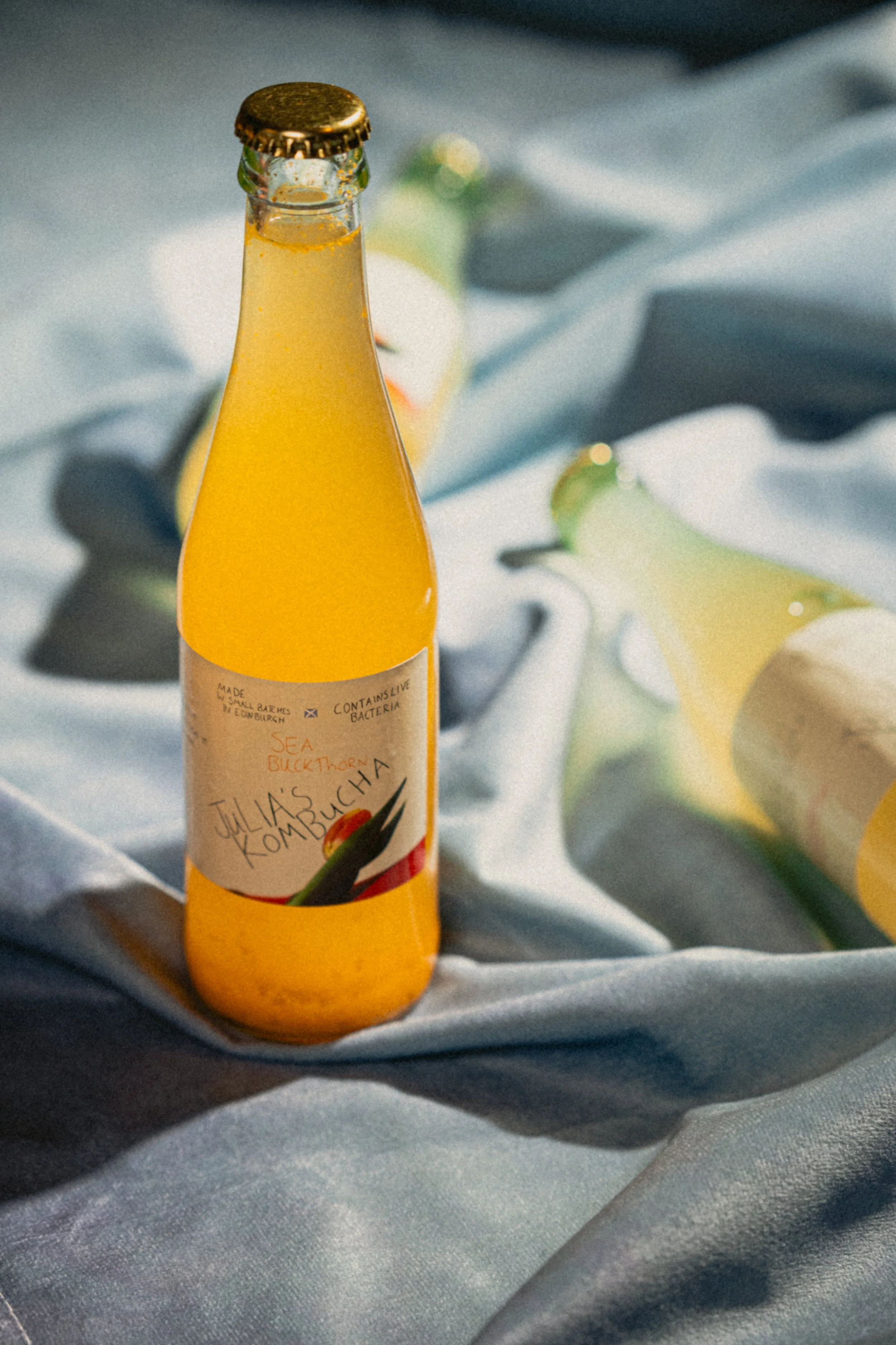 Yellow bottle of Julia's Kombucha with a label featuring an aloe vera plant, placed on a shiny, silver fabric surface.