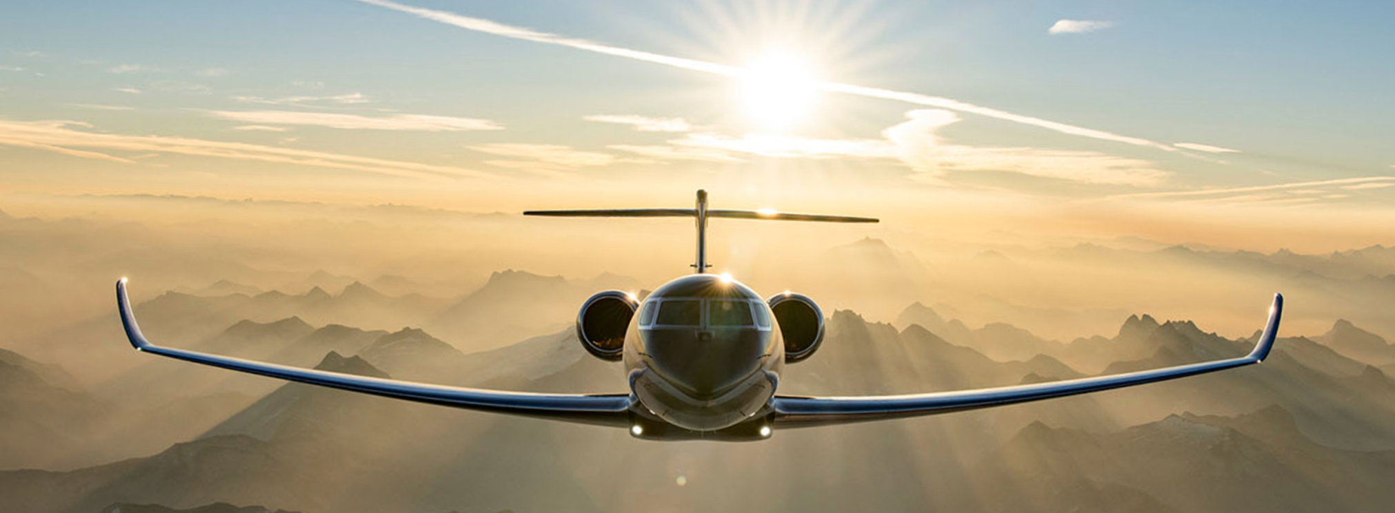 BlueGator aircraft detailing, Jacksonville Aircraft Detailing, Jacksonville Aviation Detailing, Plane Detailing, Aircraft cleaning, Jet Detailing, Jet Cleaning,