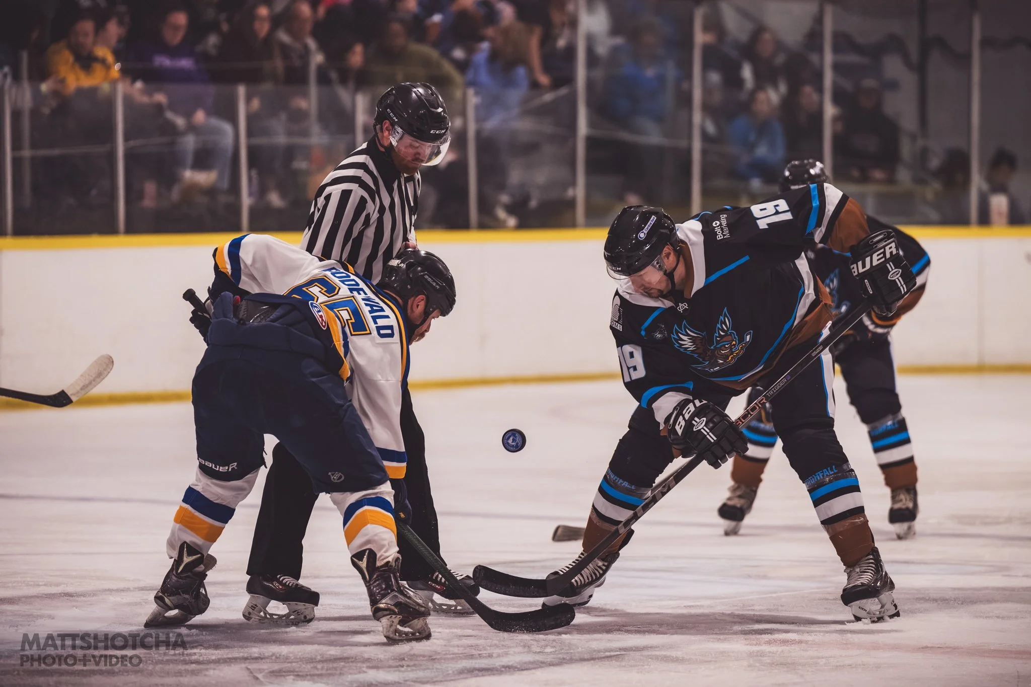 Hockey players are engaged in faceoff on the ice rink during a Lexington Nightfall game, with a referee observing closely. Spectators watch from the stands in the background.