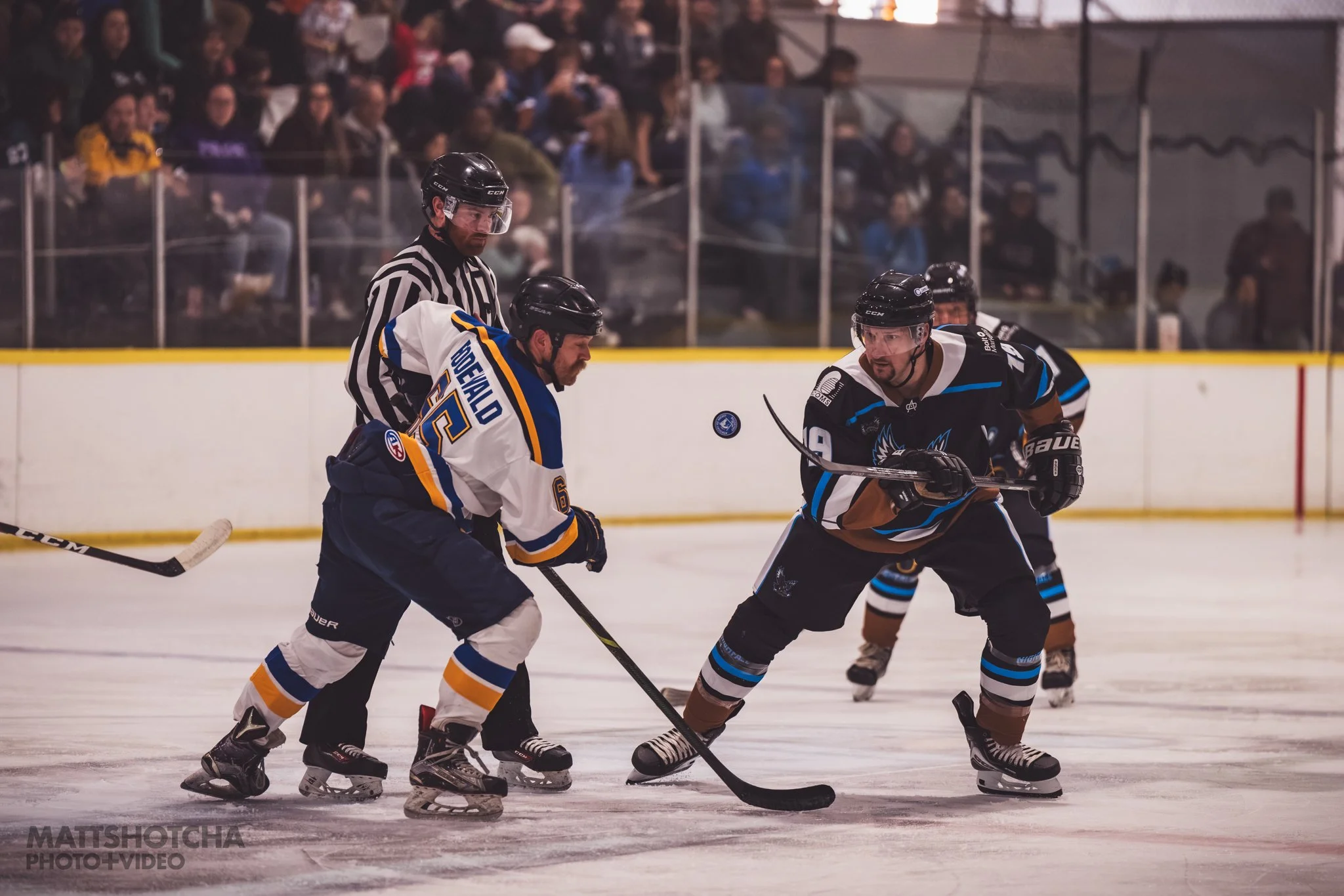 Two hockey players and a referee at a Lexington Nightfall game, competing for the puck on the ice rink, with spectators watching in the background.