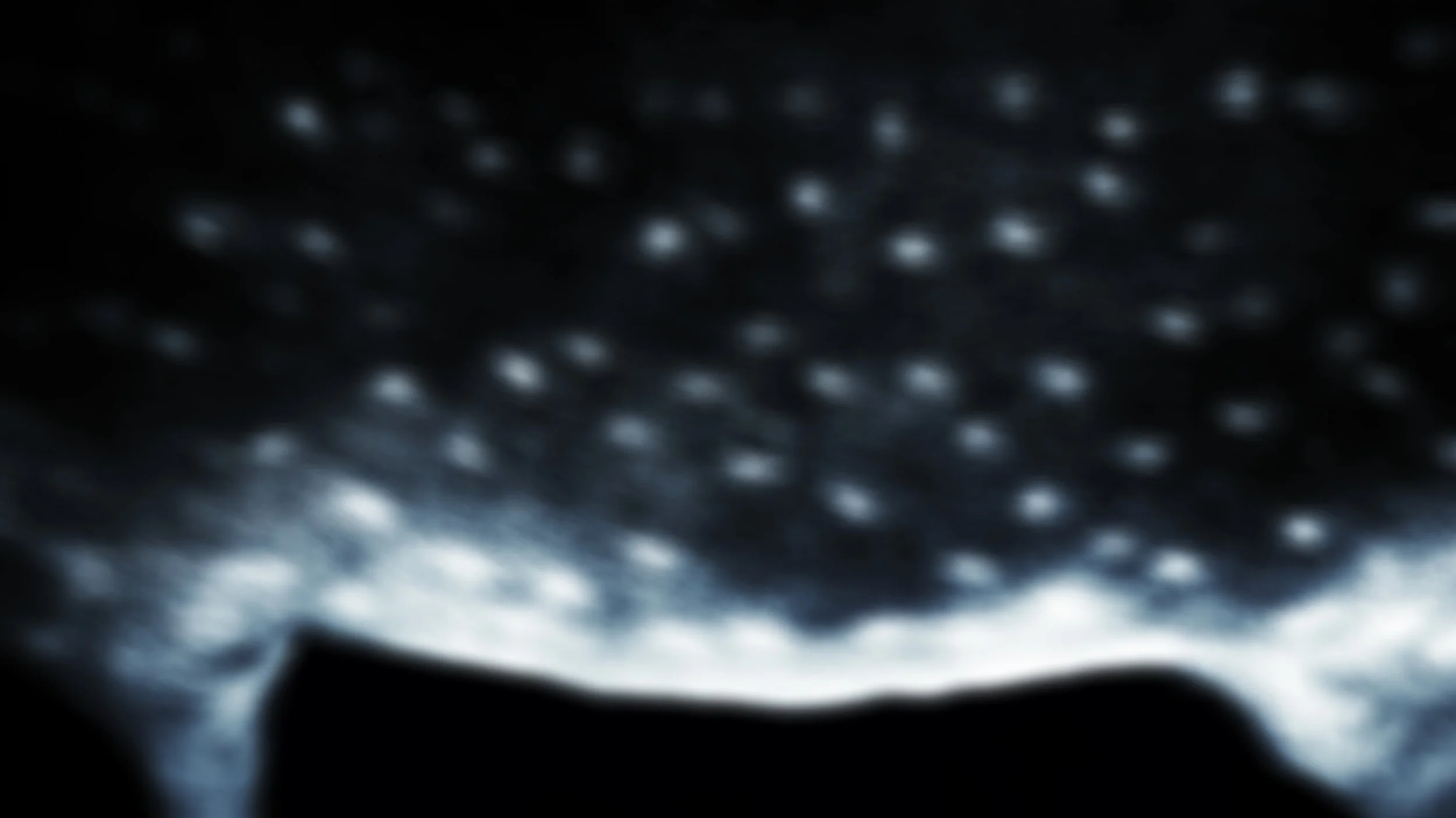 DSC01611c7.jpg