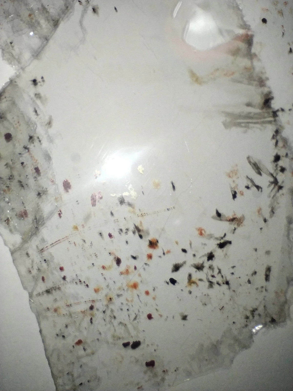 IMG_20250516_183647839_BURST002.jpg