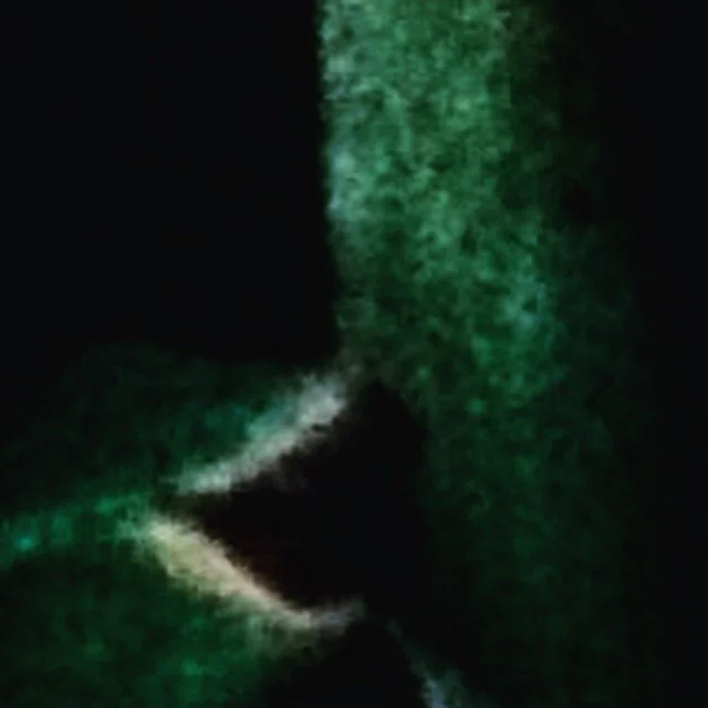 83E05F8F-DFA9-453E-B7CE-FD35675FF9DB.jpg