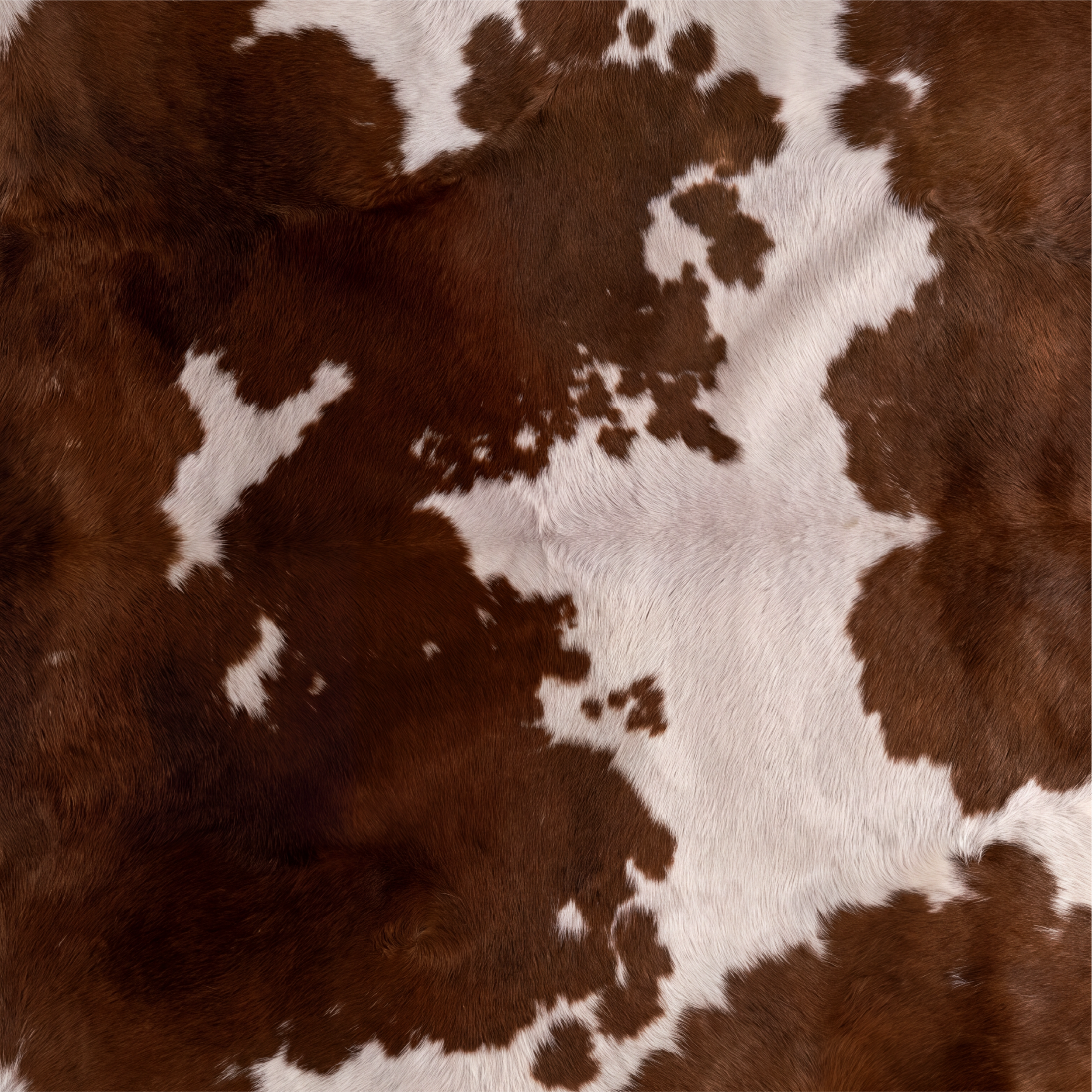Padrão de pele de vaca com manchas castanhas e brancas.