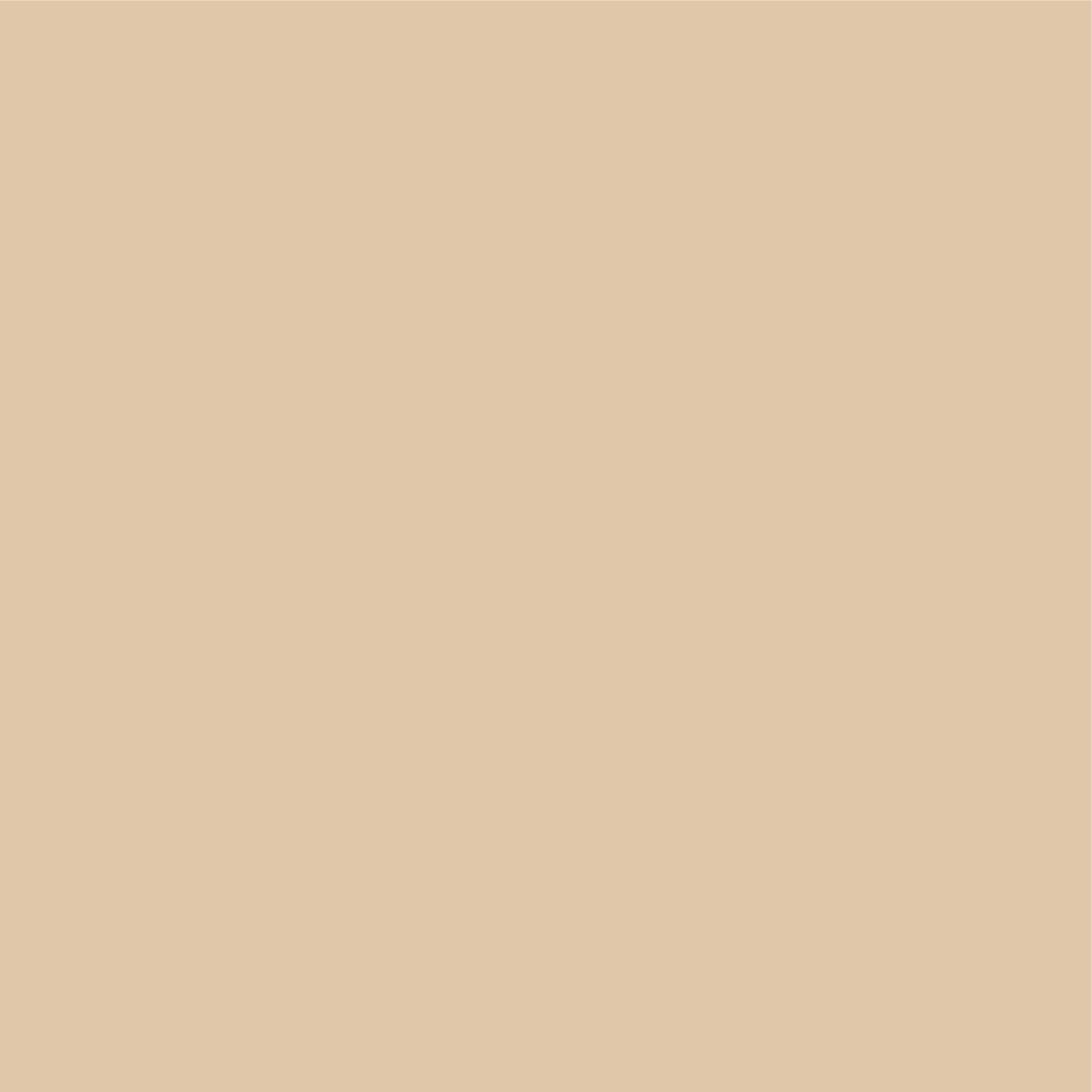 Imagem de uma cor beige plena da empresa Sakyu Studio.