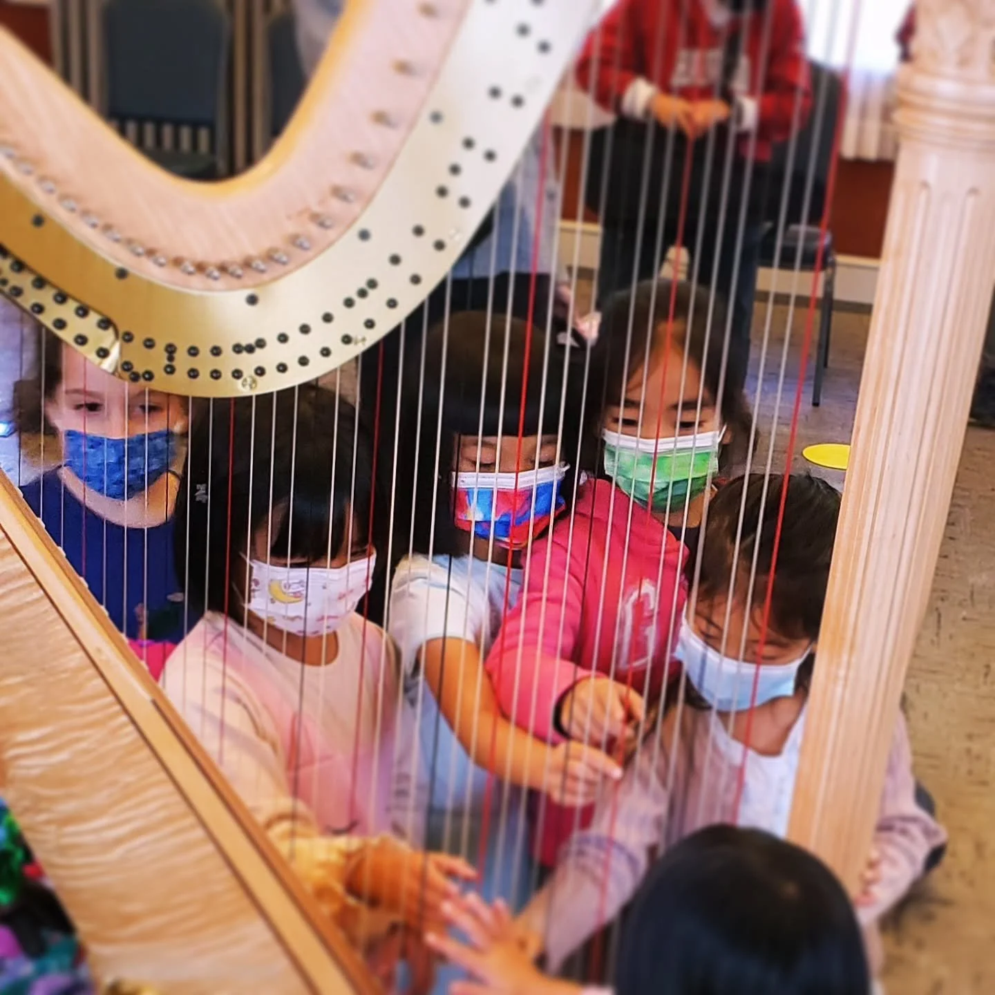 The best way to discover the harp? Start by saying hello! 

Every harpist begins with curiosity, a gentle pluck, a question, and a little bit of wonder. 

You don't need any musical experience to fall in love with this instrument. Sometimes all it ta