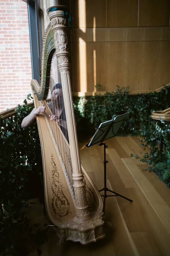 A person playing a large, ornate harp on a wooden floor in a room with wooden paneled walls and green plants near the window, with sunlight streaming in.