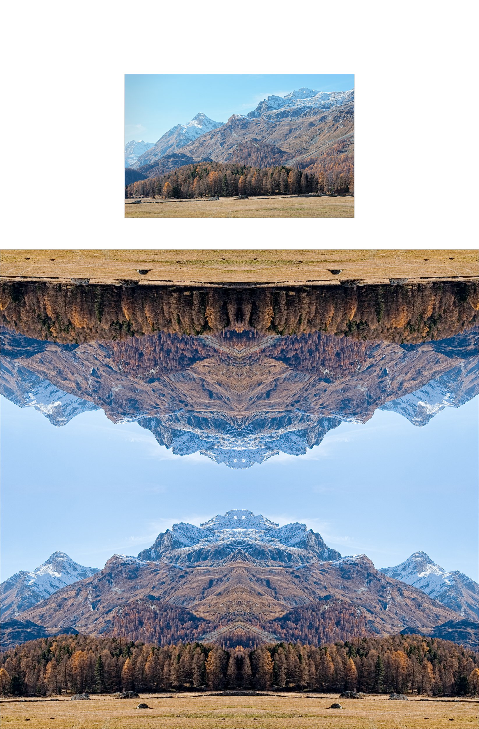 BeMuze_Pro_Swiss_Alps.jpg