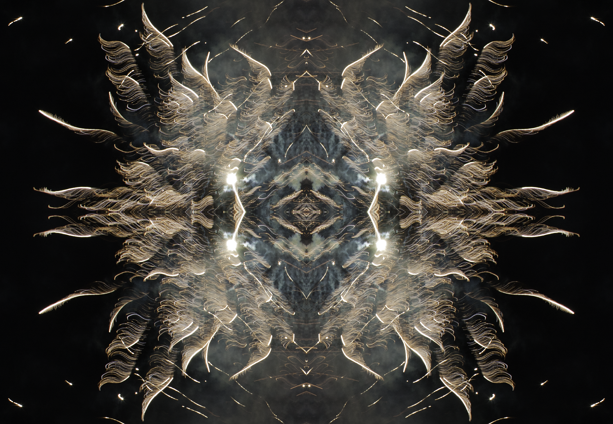 Opening Another Dimension, 2013