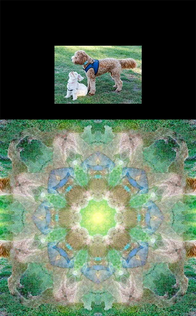 A photograph of Maia and a friend at play, shown above the Photo-Anagram artwork it became, created with the BeMuze app.