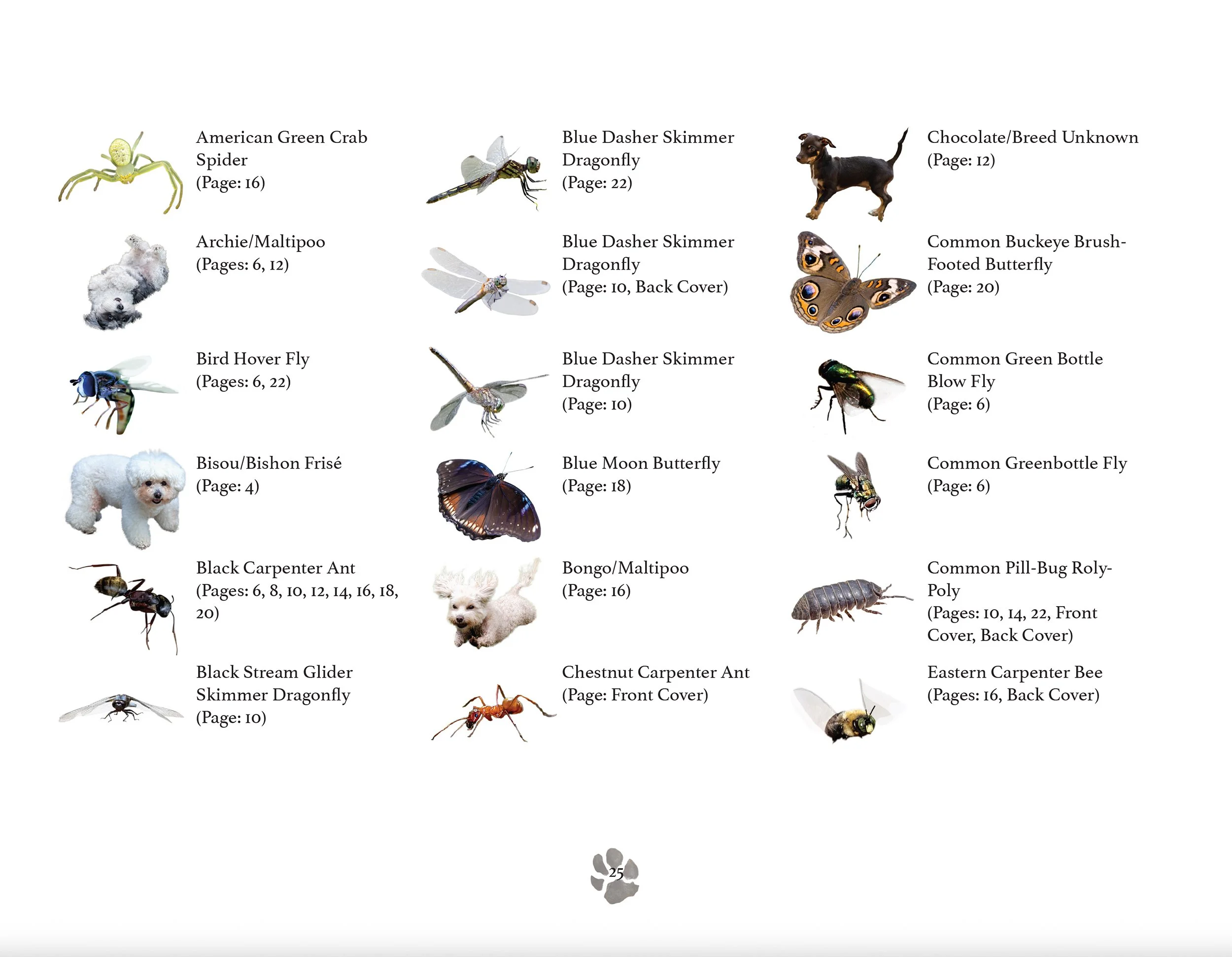 An illustrated field-guide page from Maia's Whimsical Adventures, naming the insects, animals, and wildlife  included in the books' photographic illustrations.