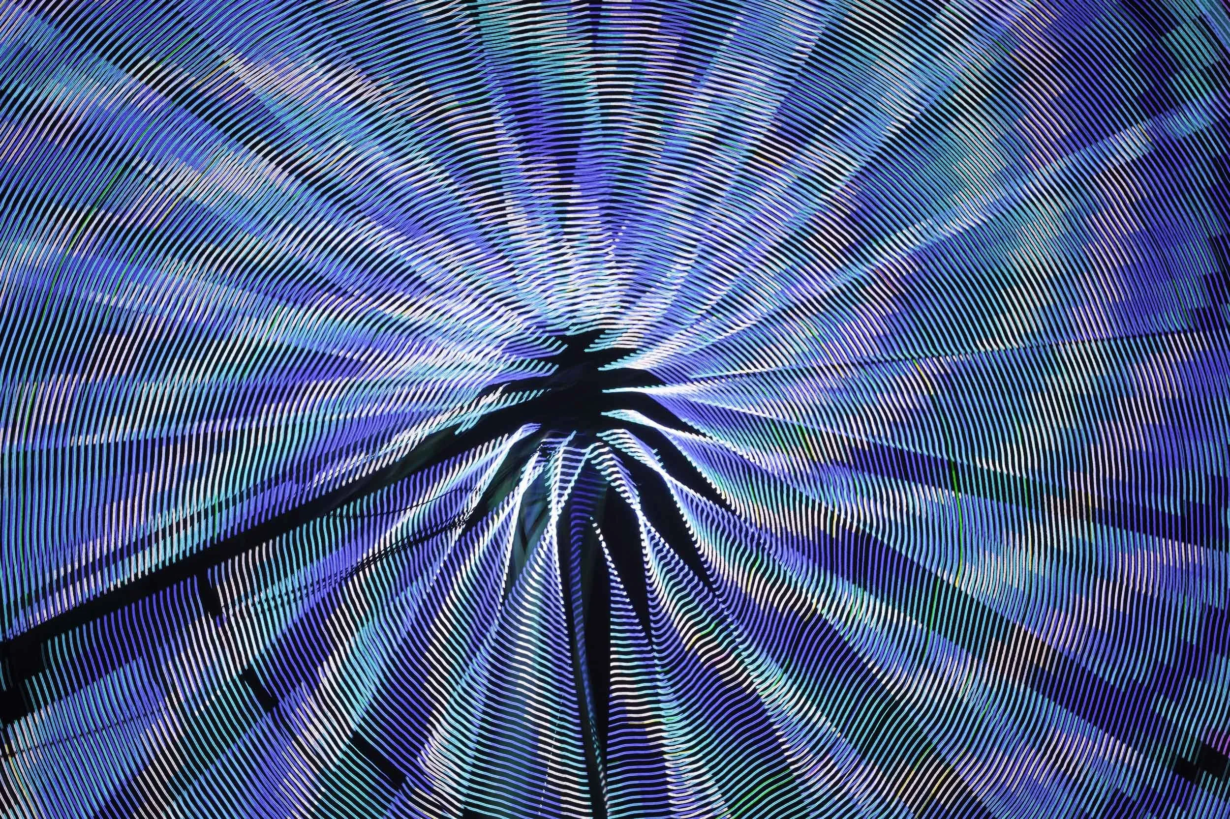 Spawned Idea, 2014