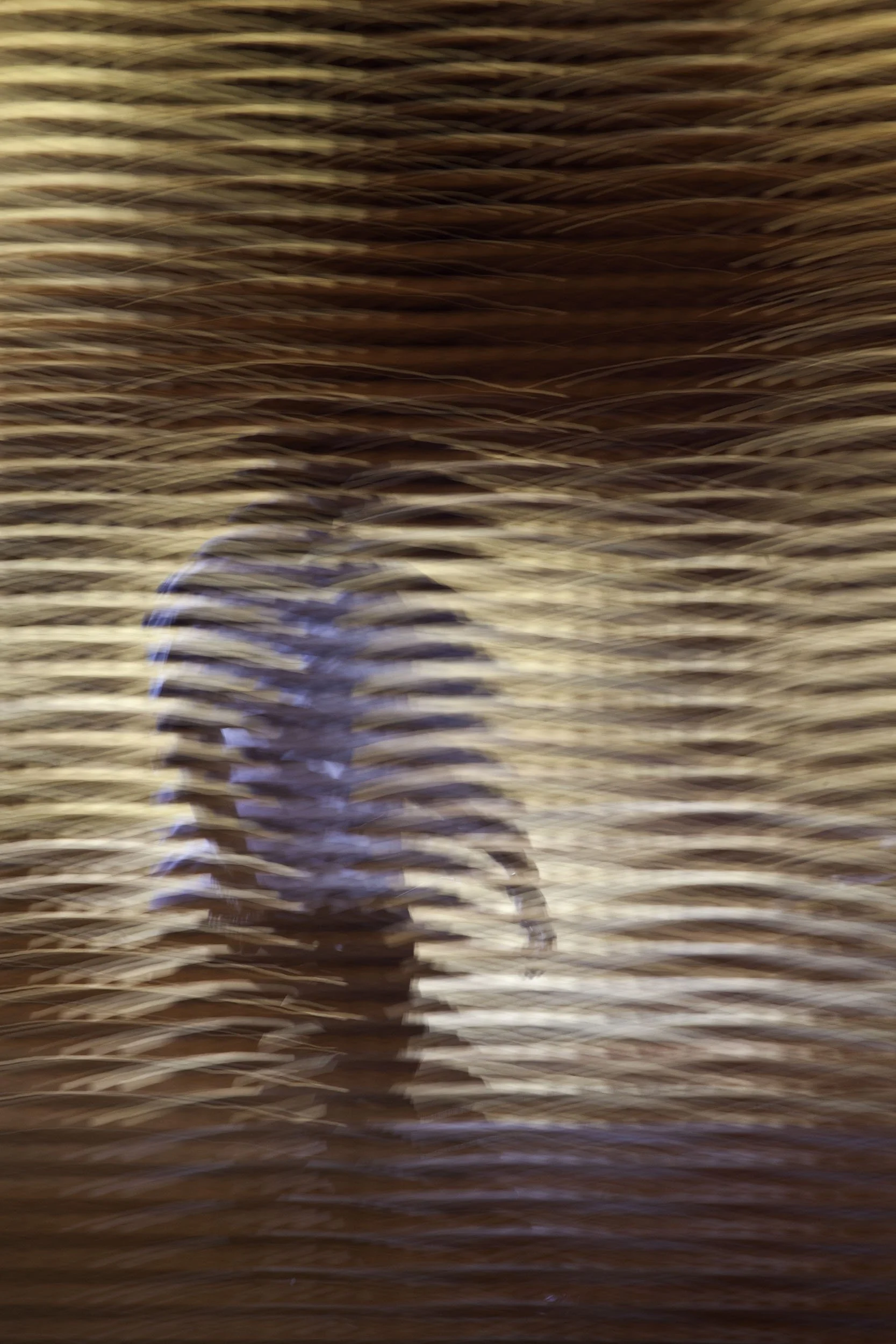 Visitor Walking Behind Perforated Copper Panel Wall To de Young Museum Entrance, 2010