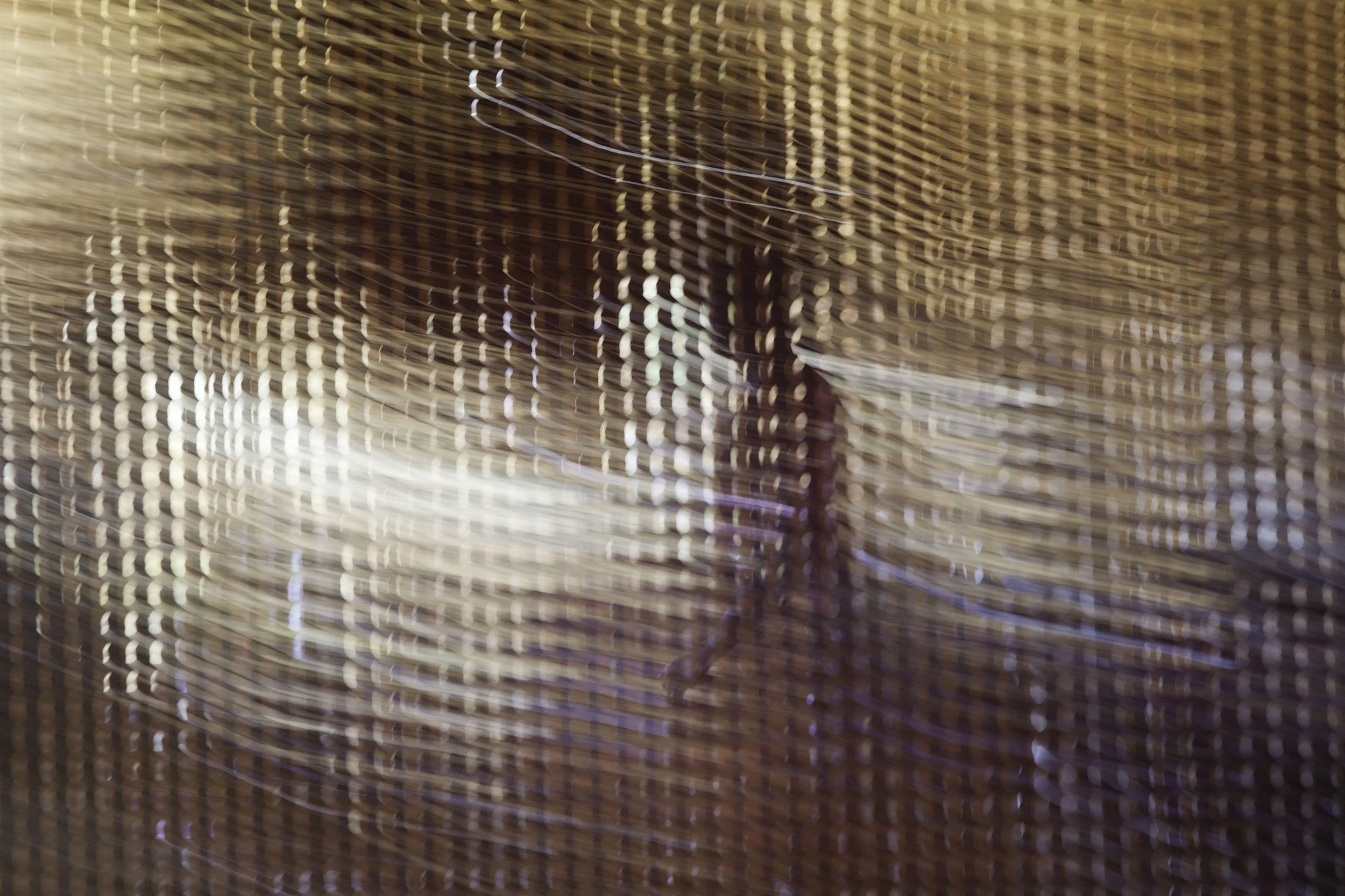 A Walk Through the Light, 2010