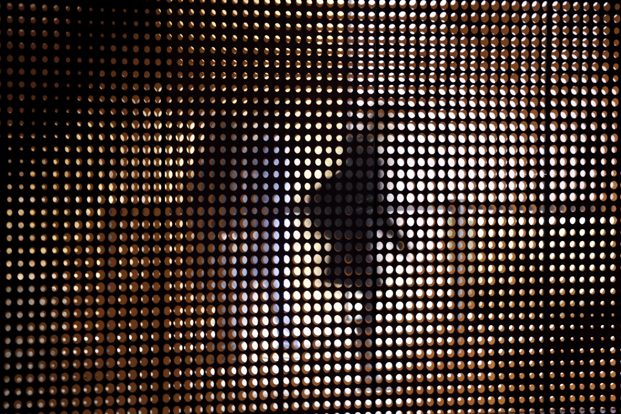 Visitor Silhouettes Behind Perforated Copper Panel Wall, 2010