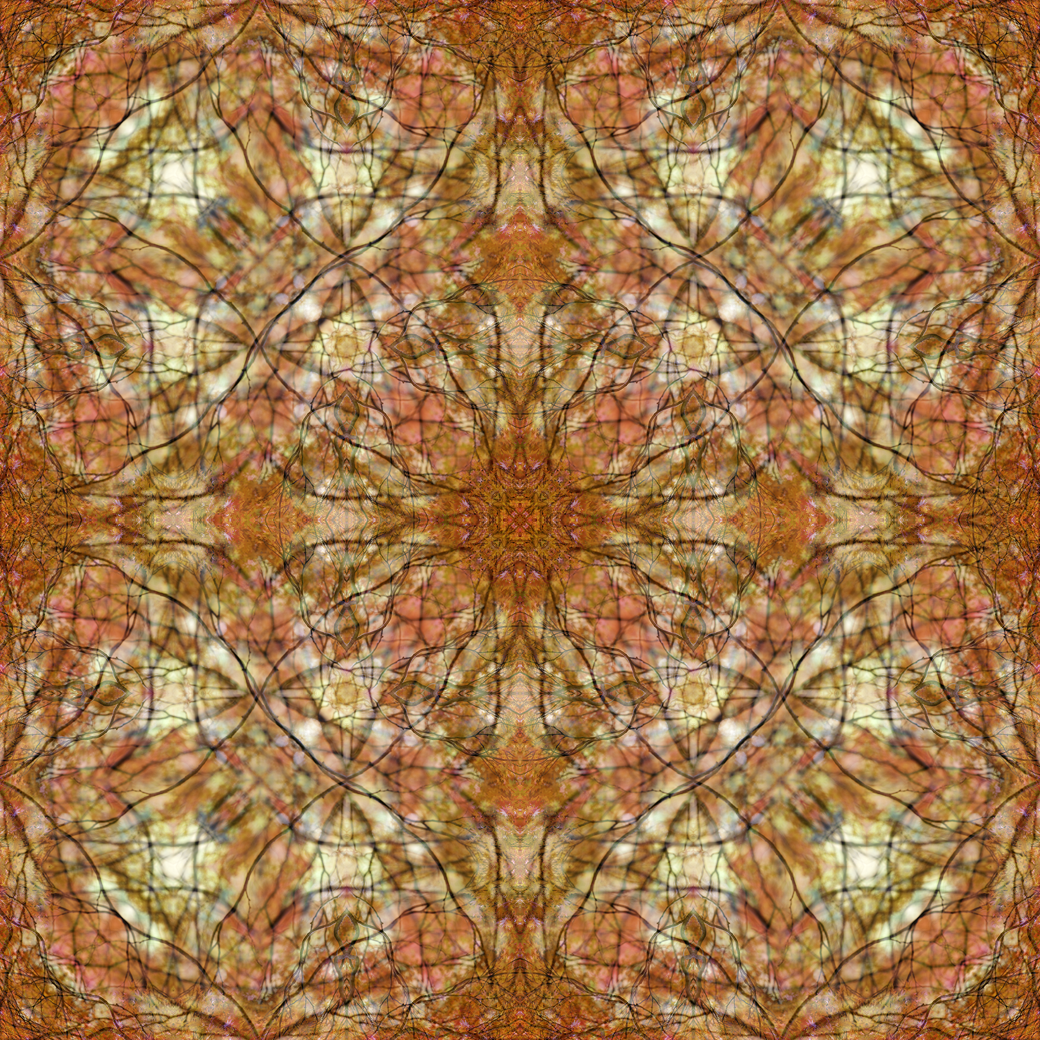 Autumn Flames, 2008
