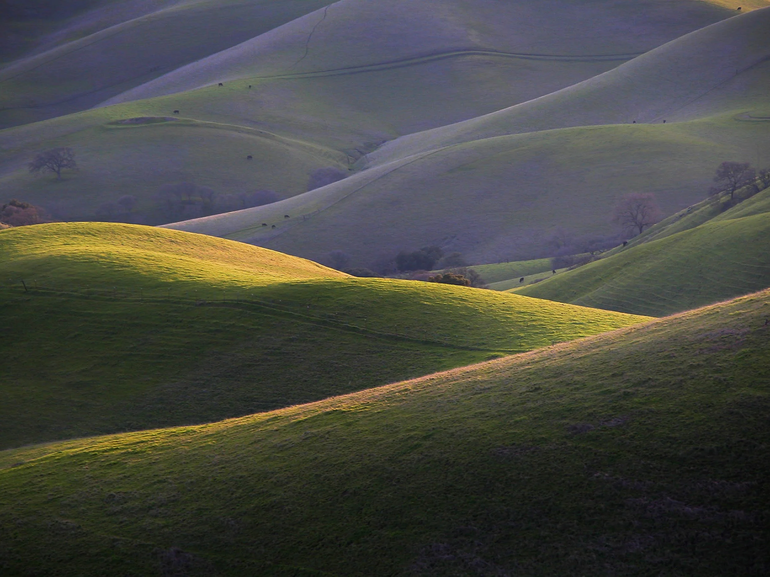 Rolling Hills, Livermore Valley, California 2004